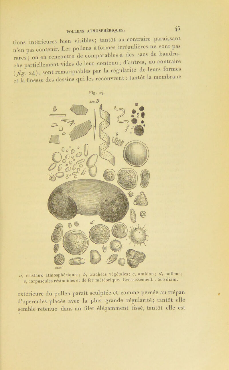lions Inlerieures bien visibles; tantol au contraire paraissant ii’en pas contenir. Les pollens a formes irreguheres ne sonl pas pares ; on en rencontre de comparables a des sacs de baudrn- che pm-tiellement vides de leur con ten u; d’autres, au contraire (/?o. 2/t), sont remarqnables par la regularite de leurs formes ct fa finesse des dessins qui les recouvrent: tantot la membrane Fig. i\. a, cristaux atmospheriques; b, IracWes vegeLales; c, amidon; d, pollens; e, corpuscules resinol'des cl dc fer mcleorique. Grossissemcnt : 5oodiani. exliirieure du pollen parail sculptee et comme perc^e au trepan d’opercules places avec la plus grande regularite; tantdt elle semble retenue dans un filet elegamment tiss^, tantot elle est