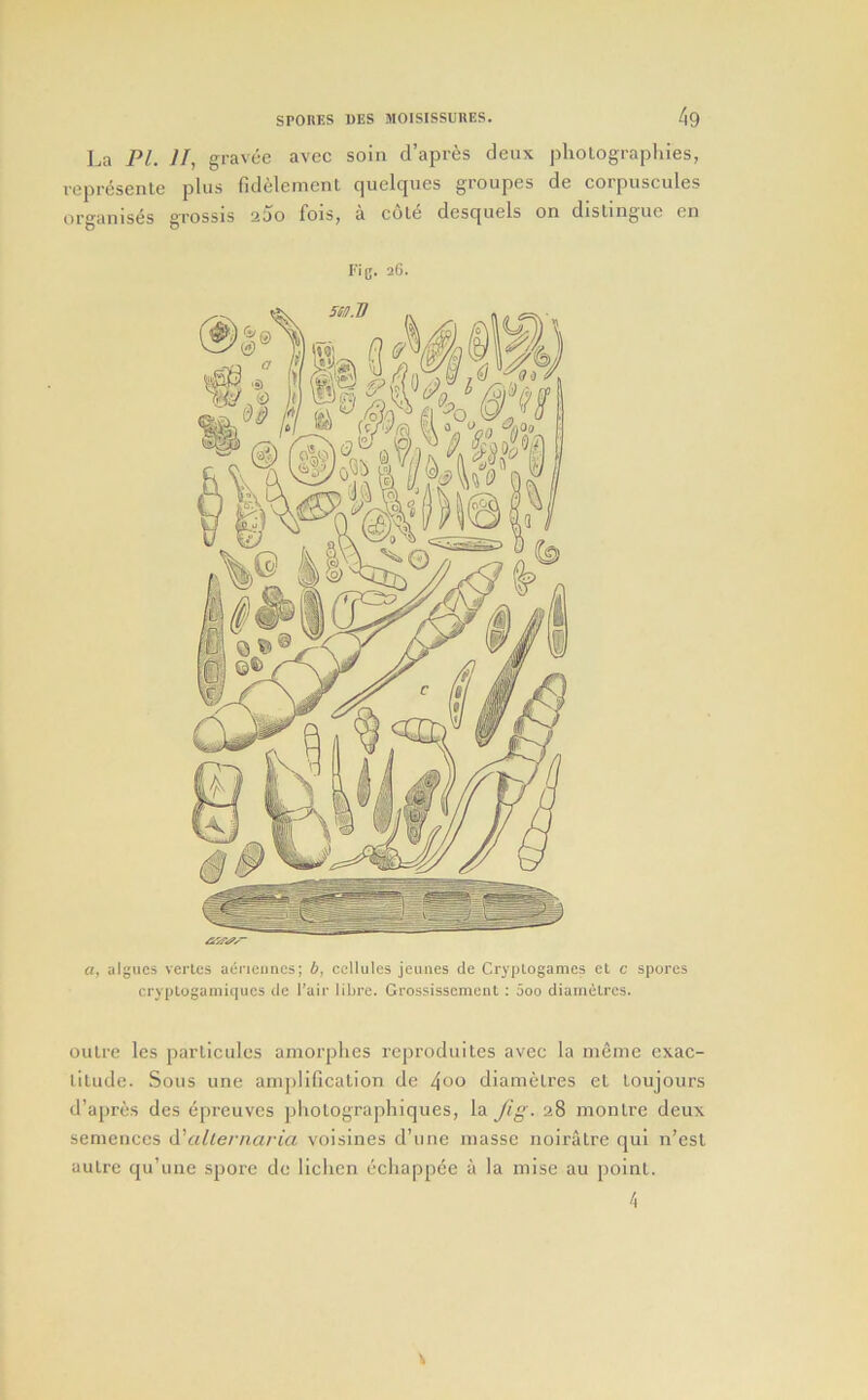 l.a PL II, gravee avec soin d’apr^s cleax pliologi-aphies, I’opresenle plus fidcIcniGnt cjuelcjues groupes de corpiiscules organises grossis 200 fois^ a cole dcscjuGls on disLingue on Fig. aG. a, algues verles aeneunes; b, cellules jeuiies de CrypLogames el c spores crypLogamiqucs de Fair liljrc. Grossissemcnt : aoo diamelrcs. outre Ics parlicules amorplies reprodulles avec la nifime exac- titude. Sous line ani|)lification de 4oo diametres et toujours d’ajires des epreuvcs pliotographiques, la fig. 28 montre deux senienccs iPallernaria voisines d’lme masse noiratre qui n’cst autre qu’unc spore de lichen ucliappee a la mise au [loint. 4