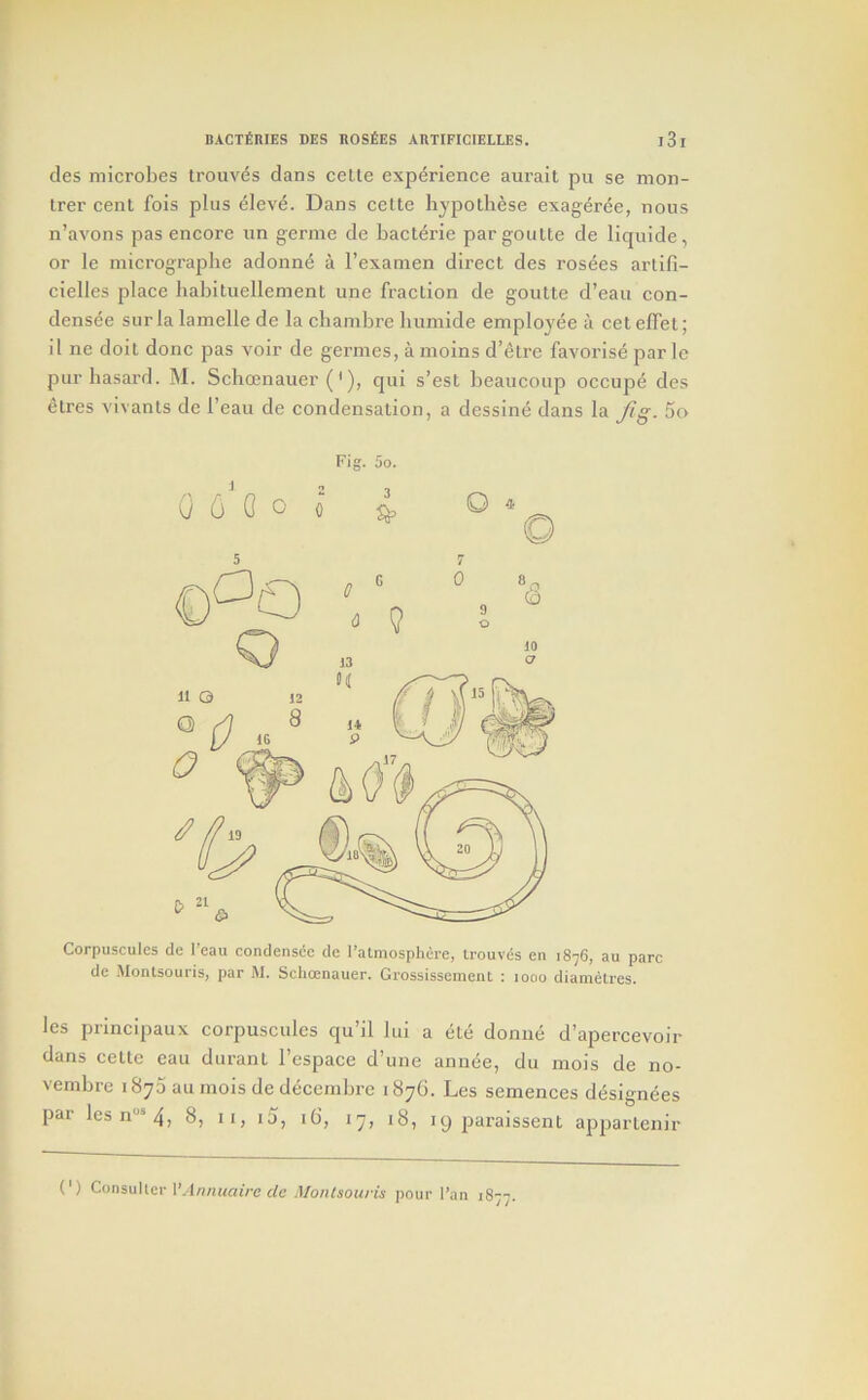 cles microbes trouv(5s dans cetle experience aurait pu se mon- Irer cent fois plus eleve. Dans cette bypothese exageree, nous n’avons pas encore un germe de baclerie pargoulte de liquide, or le micrograpbe adonn6 a I’examen direct des rosees artifi- cielles place liabituellement line fraction de goutte d’eau con- densde surla lamelle de la cbambre Immide employee a cet effet; il ne doit done pas voir de germes, a moins d’etre favorise par le pur basard. M. Schoenauer ('), qui s’est beaucoup occupe des etres vivants de I’eau de condensation, a dessine dans la Jig. 5o Corpusculcs de I’eau condensce de ratmosphere, irouves en 1876, au pare de Montsouris, par M. Schoenauer. GrossissemeiU : loao diametres. les principaux corpuscules qu’il lui a etc donue d’apercevoir dans cette eau durant I’espace d’une annee, du mois de no- vembre 1870 au mois de decembre 1876. Les semences designees par lesn®4, 8, ii, i3, 16, 17, 18, 19 paraissent appartenir (') Consuller I’,l«/!«n;/-e c/e Montsouris pour I’an 1877.