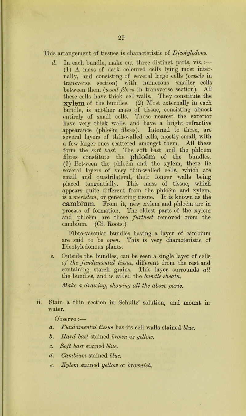 Tliis arrangement of tissues is characteristic of Dicotyledons. d. In each bundle, make out tliree distinct parts, viz. :— (1) A mass of dark coloured cells lying most inter- nally, and consisting of several hirge cells (vessels in transverse section) with numerous smaller cells between them (wood Jihres in transverse section). All these cells have thick cell walls. They constitute the xylem of the bundles. (2) Most externally in each bundle, is another mass of tissue, consisting almost entirely of small cells. Those nearest the exterior have very thick walls, and have a bright refractive appearance (phloem fibres). Internal to these, are several layers of thin-walled cells, mostly small, with a few larger ones scattered amongst them. All these form the soft hast. The soft bast and the phloem fibres constitute the phloem of the bundles. (3) Between the phloem and the xylem, there lie several layers of very thin-walled cells, which are small and quadrilateral, their longer walls being placed tangentially. This mass of tissue, which appears quite different from the phloem and xylem, is a meristem, or generating tissue. It is known as the cambium. From it, new xylem and phloem are in process of formation. The oldest parts of the xylem and phloem are those furthest removed from the cambium. (Cf. Boots.) Fibro-vascular bundles having a layer of cambium are said to be open. This is very characteristic of Dicotyledonous plants. e. Outside the bundles, can be seen a single layer of cells of the fundamental tissue, different from the rest and containing starch grains. This layer surrounds all the bundles, and is called the hundle-sheath. Make a drawing, showing all the above parts. ii. Stain a thin section in Schultz’ solution, and mount in water. Observe :— a. Fundamental tissue has its cell walls stained blue, h. Hard hast stained brown or yellow. c. Soft hast stained blue. d. Camhium stained blue. e. Xylem stained yellow or brownish.
