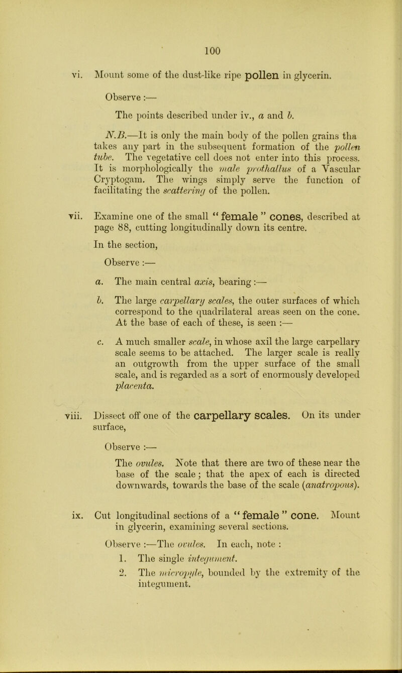 vi. Mount some of the dust-like ripe pollen in glycerin. Observe :— The points described under iv., a and h. N.B.—It is only the main body of the pollen grains tha takes any part in the subsequent formation of the yollm tube. The vegetative cell does not enter into this process. It is morphologically the male irrothallus of a Vascular Cryptogam. The wings simply serve the function of facilitating the sratterirKj of the pollen. vii. Examine one of the small “ female ” COnes, described at page 88, cutting longitudinally down its centre. In the section, Observe :— a. The main central axis, bearing :— b. The large carpellarij scales, the outer surfaces of which correspond to the t|uadrilateral areas seen on the cone. At the base of each of these, is seen :— c. A much smaller scale, in whose axil the large carpellary scale seems to be attached. The larger scale is really an outgrowth from the upper surface of the small scale, and is regarded as a sort of enormously developed placenta. viii. Dissect off one of the carpellary SCaleS. On its under surface. Observe :— The ovules. Note that there are two of these near the base of the scale; that the apex of each is directed downwards, towards the base of the scale {anatropous). ix. Cut longitudinal sections of a “ female ” COne. Mount in glycerin, examining several sections. Observe :—The ovules. In each, note : 1. The single integument. 2. The micropgle, bounded by the extremity of the integument.