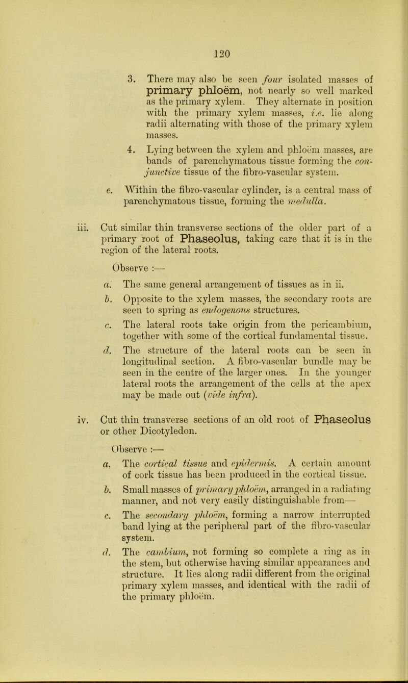 3. There may also he seen four isolated masses of primary phloem, not nearly so well marked as the primary xylem. They alternate in position with the primary xylem masses, i.e. lie along radii alternating with those of the primary xylem masses. 4. Lying between the xylem and phloem masses, are bands of parenchymatous tissue forming the con- junctwe tissue of the fibro-vascular systein. e. Within the fibro-vascular cylinder, is a central mass of parenchymatous tissue, forming the medulla. iii. Cut similar thin transverse sections of the older part of a primary root of Phaseolus, taking care that it is in the region of the lateral roots. Observe ;— a. The same general arrangement of tissues as in ii. 1). Opposite to the xylem masses, the secondary roots are seen to spring as endogenous structures. c. The lateral roots take origin from the pericanibium, together with some of the cortical fundamental tissue. d. The structure of the lateral roots can be seen in longitudinal section. A fibro-vascular bundle may be seen in the centre of the larger ones. In the younger lateral roots the arrangement of the cells at the apex may be made out [oide infra). iv. Cut thin transverse sections of an old root of Phaseolus or other Dicotyledon. Observe ;— a. The cortical tissue and epidermis. A certain amount of cork tissue has been produced in the cortical tissue. 1). Small masses of prirnarypliloein., arranged in a radiating manner, and not very easily distinguishable from— c. The secondary pldocm, forming a narrow interrupted band lying at the peripheral part of the fibro-vascular system. d. The camhium^ not formmg so complete a ring as in the stem, but otherwise having similar appearances and structure. It lies along radii different from the original primary xylem masses, and identical with the radii of the primary phloian.