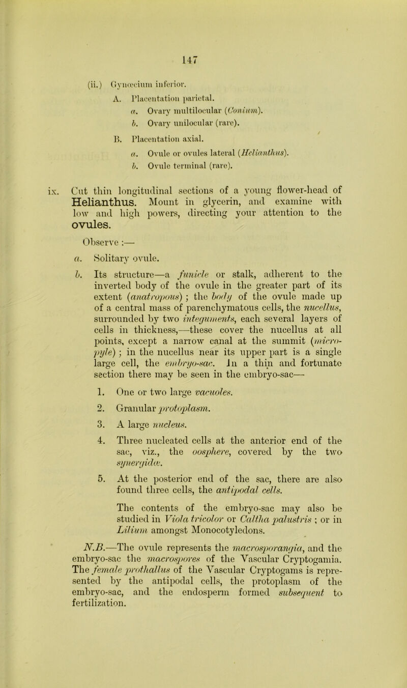 (ii.) (lyiia‘i:inm inferior. A. Plaeentation parietal. a. Ovary inultiloeular [Coniwm). b. Ovary unilocular (rare). 1>. Plaeentation axial. a. Ovule or ovules lateral {HcHanthus). b. Ovule terminal (rare). ix. Cut thin longitudinal sections of a young flower-head of Helianthus. Mount in glycerin, and examine with low and high powers, directing your attention to the ovules. Observe ;— a. Solitary ovule. h. Its structure—a fimirle or stalk, adherent to the inverted body of the ovule in the greater part of its extent {anatropons) ; the hexh/ of the ovule made up of a central mass of parenchymatous cells, the nucellus, surrounded by two integiunents, each several layers of cells in thickness,—these cover the nucellus at all points, except a narrow canal at the summit {inirro- pyle); in the nucellus near its upper part is a single large cell, the eitthryo-me. Jn a thin and fortunate section there may be seen in the embryo-sac— 1. One or two large vacuoles. 2. Granular irvoto'plasm. 3. A laro-e nucleus. O 4. Three nucleated cells at the anterior end of the sac, \iz., the oosphere, covered by the t'wo synenykhe. 5. At the posterior end of the sac, there are also found three cells, the antipodal cells. The contents of the embryo-sac may also be studied in Viola tricolor or Caltha palustris ; or in Lilium amongst Monocotyledons. N.B.—The ovule represents the macrosporamyia, and the embryo-sac the macrospores of the Vascular Cryptogamia. ThQ femede protlicdhts of the Vascular Cryptogams is repre- sented by the antipodal cells, the protoplasm of the embryo-sac, and the endosperm formed suhse<p(ent to fertilization.