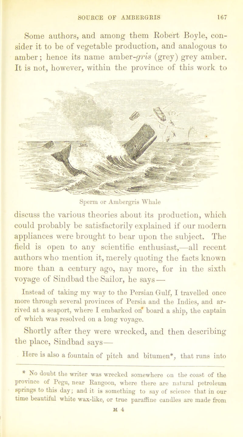 Some authors, and among them Robert Boyle, con- sider it to be of vegetable production, and analogous to amber; hence its name amber-^ris (grey) grey amber. It is not, however, within the province of this work to Sperm or Ambergris Whale discuss the various theories about its production, which could probably be satisfactorily explained if our modern appliances were brought to bear upon the subject. The field is open to any scientific enthusiast,—all recent authors who mention it, merely quoting the facts known more than a century ago, nay more, for in the sixth voyage of Sindbad the Sailor, he says — Instead of taking my way to the Persian Gulf, I travelled once more through several provinces of Persia and the Indies, and ar- rived at a seaport, where I embarked on hoard a ship, the captain of which was resolved on a long voyage. Shortly after they were wrecked, and then describing the place, Sindbad says— Here is also a fountain of pitch and bitumen*, that runs into * No doubt the writer was wrecked somewhere on the coast of the province of Pegu, near Kangoon, where there are natural petroleum springs to this day; and it is something to say of science that in our time beautiful white wax-like, or true paraffine candles are made from ju 4