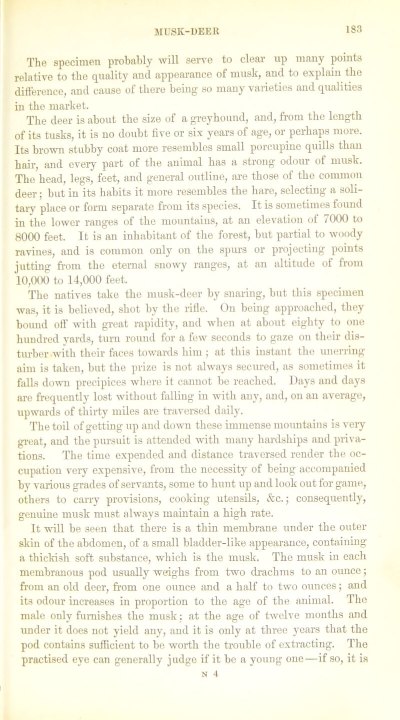 The specimen probably will serve to clear up many points relative to the quality and appearance of musk, and to explain the difference, and cause of there being so many varieties and qualities in the market. The deer is about the size of a greyhound, and, from the length of its tusks, it is no doubt live or six years of age, or perhaps more. Its brown stubby coat more resembles small porcupine quills than hair, and every part of the animal has a strong odour of musk. The head, legs, feet, and general outline, are those of the common deer; but in its habits it more resembles the hare, selecting a soli- tary place or form separate from its species. It is sometimes found in the lower ranges of the mountains, at an elevation of 7000 to 8000 feet. It is an inhabitant of the forest, but partial to woody ravines, and is common only on the spurs or projecting points jutting from the eternal snowy ranges, at an altitude of from 10,000 to 14,000 feet. The natives take the musk-deer by snaring, but this specimen was, it is believed, shot by the rifle. On being approached, they boimd oft’ with great rapidity, and when at about eighty to one hundred yards, turn round for a few seconds to gaze on their dis- turber-with their faces towards him ; at this instant the unerring- aim is taken, but the prize is not always secured, as sometimes it falls down precipices where it cannot be reached. Days and days are frequently lost without falling in with any, and, on an average, upwards of thirty miles are traversed daily. The toil of getting up and down these immense mountains is very great, and the pursuit is attended with many hardships and priva- tions. The time expended and distance traversed render the oc- cupation very expensive, from the necessity of being accompanied by various grades of servants, some to hunt up and look out for game, others to cany provisions, cooking utensils, &c.; consequently, genuine musk must always maintain a high rate. It will be seen that there is a thin membrane under the outer skin of the abdomen, of a small bladder-like appearance, containing a thickish soft substance, which is the musk. The musk in each membranous pod usually weighs from two drachms to an ounce; from an old deer, from one ounce and a half to two ounces; and its odour increases in proportion to the ago of the animal. The male only furnishes the musk: at the age of twelve months and under it does not yield any, and it is only at three years that the pod contains sufficient to be worth the troxdffe of extracting. The practised eye can generally judge if it be a young one—if so, it is