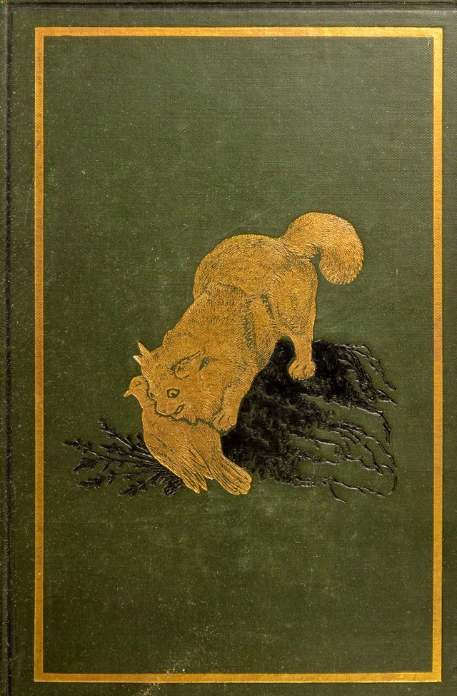 No text description is available for this image