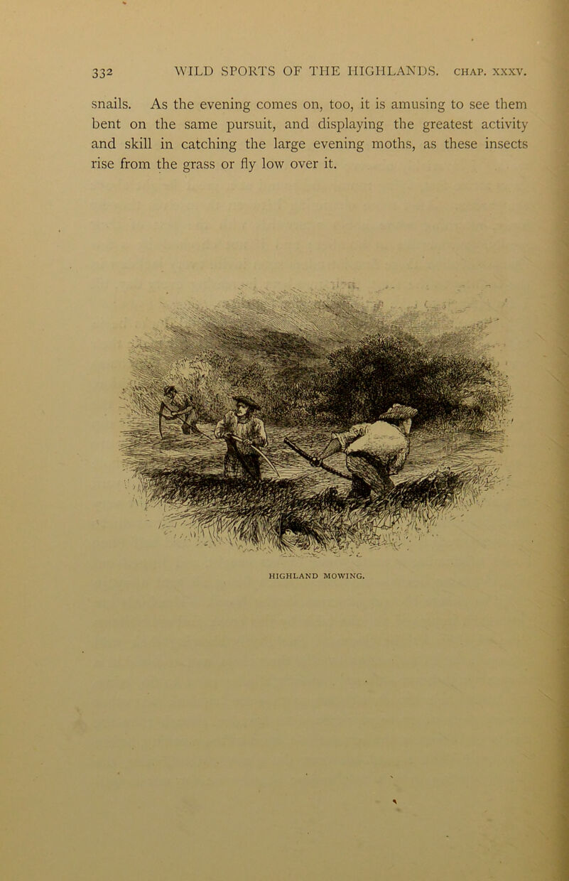 snails. As the evening comes on, too, it is amusing to see them bent on the same pursuit, and displaying the greatest activity and skill in catching the large evening moths, as these insects rise from the grass or fly low over it. HIGHLAND MOWING.