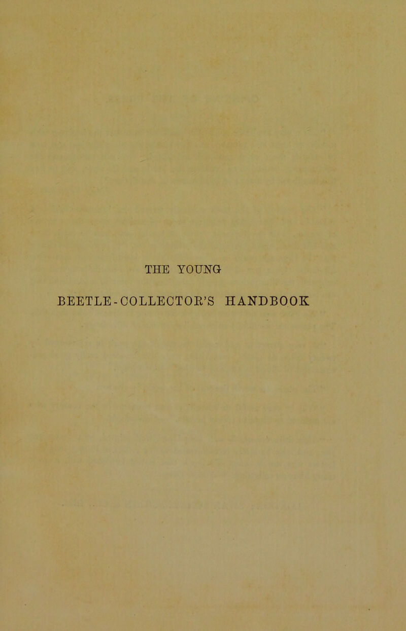 THE YOUNG BEETLE-COLLECTOE’S HANDBOOK