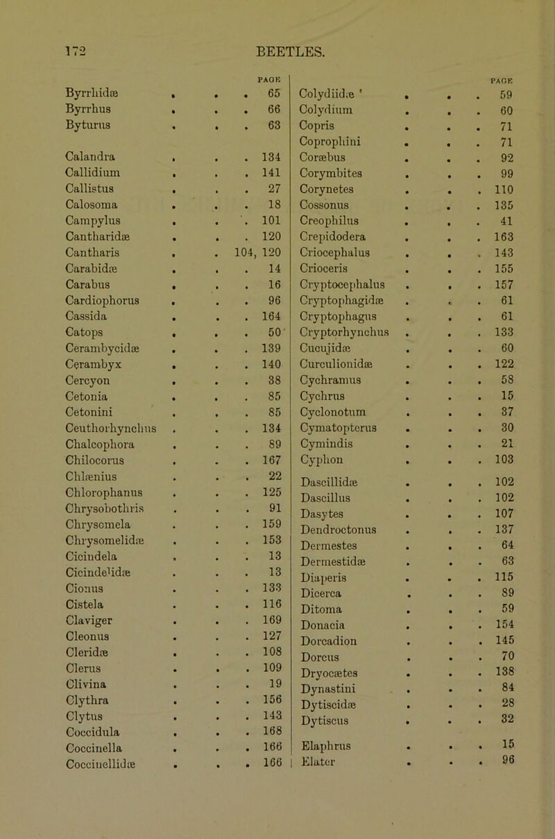 PAGE Byrrliidce • 65 Byrrhus 66 Byturus 63 Calandra 134 Callidium 141 Callistus 27 Calosoma 18 Campylus 101 Cantharidoe 120 Cantharis 104 120 Carabidte 14 Carabus 16 Cardiophorua 96 Cassida 164 Catops 50 Cerandjycidce 139 Cerambyx 140 Cercyon 38 Cetonia 85 Cetonini 85 Ceuthoihynclms 134 Chalcophora 89 ChilocoiTis 167 Chl.nenius 22 Chlorophanus 125 Chrysobothri.s 91 Chryscmcla 159 Cliiysomelidre 153 Ciciiidela 13 Cicindelidfe 13 Cionus 133 Cistela 116 Claviger 169 Cleonua 127 Cleridte 108 Cl eras 109 Olivina 19 Clythra 156 Clytus 143 Coccidula 168 Coccinella 166 Cocciuellidte 166 Colydiid;e ’ PAGE 59 Colj'dium 60 Copris 71 Coprophini 71 Cortebus 92 Corymbites 99 Corynetes 110 Cossonus 135 Creophilus 41 Crepidodera 163 Criocephalus 143 Crioceris 155 Cryptocc[)halus 157 Cryptophagidte 61 Cryptophagns 61 Cryptorhynchus 133 Cucujidai 60 CurcuHonidffi 122 Cychranius 58 Cychrus 15 Cyclonotum 37 Cymatopterus 30 Cyniindis 21 Cypbon 103 Dascillidie 102 Dascilhis 102 Dasytes 107 Dendroc tonus 137 Dermestes 64 Dermestid® 63 Biaperia 115 Dicerca 89 Ditoma 59 Donacia 154 Dorcadion 145 Dorcus 70 Dryocffitcs 138 Dynastini 84 Dj'tiacid.® 28 Dytiscus 32 Elaplirus 15 Klatcr 96