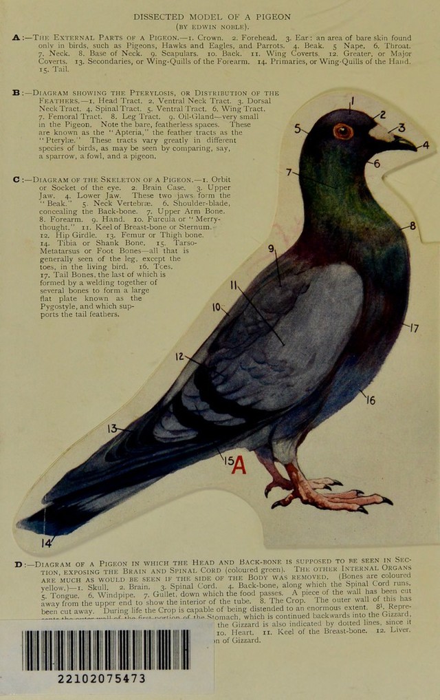 No text description is available for this image