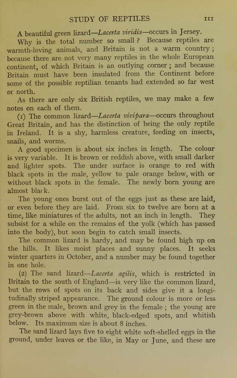 A beautiful green lizard—Lacerta viridis—occurs in Jersey. Why is the total number so small ? Because reptiles are warmth-loving animals, and Britain is not a warm country ; because there are not very many reptiles in the whole European continent, of which Britain is an outlying corner ; and because Britain must have been insulated from the Continent before some of the possible reptilian tenants had extended so far west or north. As there are only six British reptiles, we may make a few notes on each of them. (1) The common lizard—Lacerta vivipara—occurs throughout Great Britain, and has the distinction of being the only reptile in Ireland. It is a shy, harmless creature, feeding on insects, snails, and worms. A good specimen is about six inches in length. The colour is very variable. It is brown or reddish above, with small darker and lighter spots. The under surface is orange to red with black spots in the male, yellow to pale orange below, with or without black spots in the female. The newly born young are almost black. The young ones burst out of the eggs just as these are laid, or even before they are laid. From six to twelve are born at a time, like miniatures of the adults, not an inch in length. They subsist for a while on the remains of the yolk (which has passed into the body), but soon begin to catch small insects. The common lizard is hardy, and may be found high up on the hills. It likes moist places and sunny places. It seeks winter quarters in October, and a number may be found together in one hole. (2) The sand lizard—Lacerta agilis, which is restricted in Britain to the south of England—is very like the common lizard, but the rows of spots on its back and sides give it a longi- tudinally striped appearance. The ground colour is more or less green in the male, brown and grey in the female ; the young are grey-brown above with white, black-edged spots, and whitish below. Its maximum size is about 8 inches. The sand lizard lays five to eight white soft-shelled eggs in the ground, under leaves or the like, in May or June, and these are