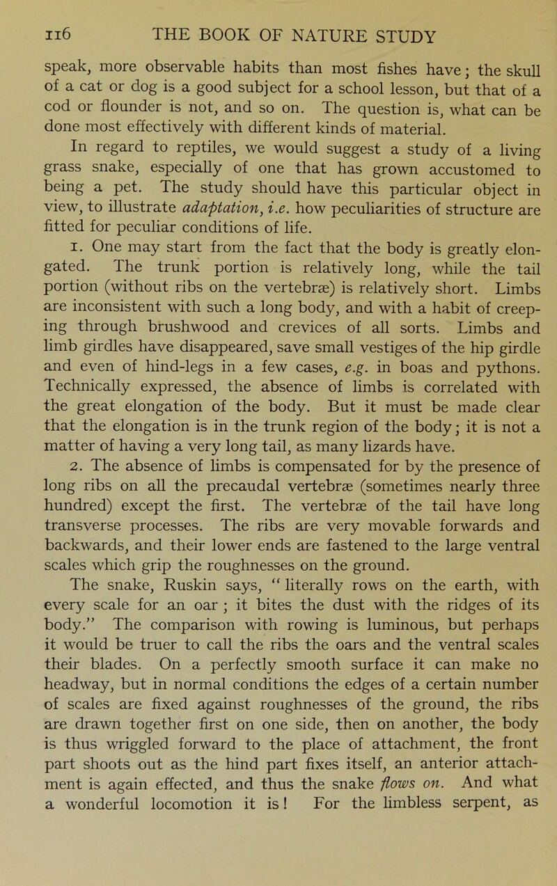 speak, more observable habits than most fishes have; the skull of a cat or dog is a good subject for a school lesson, but that of a cod or flounder is not, and so on. The question is, what can be done most effectively with different kinds of material. In regard to reptiles, we would suggest a study of a living grass snake, especially of one that has grown accustomed to being a pet. The study should have this particular object in view, to illustrate adaptation, i.e. how peculiarities of structure are fitted for peculiar conditions of life. 1. One may start from the fact that the body is greatly elon- gated. The trunk portion is relatively long, while the tail portion (without ribs on the vertebras) is relatively short. Limbs are inconsistent with such a long body, and with a habit of creep- ing through brushwood and crevices of all sorts. Limbs and limb girdles have disappeared, save small vestiges of the hip girdle and even of hind-legs in a few cases, e.g. in boas and pythons. Technically expressed, the absence of limbs is correlated with the great elongation of the body. But it must be made clear that the elongation is in the trunk region of the body; it is not a matter of having a very long tail, as many lizards have. 2. The absence of limbs is compensated for by the presence of long ribs on all the precaudal vertebrae (sometimes nearly three hundred) except the first. The vertebrae of the tail have long transverse processes. The ribs are very movable forwards and backwards, and their lower ends are fastened to the large ventral scales which grip the roughnesses on the ground. The snake, Ruskin says, “ literally rows on the earth, with every scale for an oar ; it bites the dust with the ridges of its body.” The comparison with rowing is luminous, but perhaps it would be truer to call the ribs the oars and the ventral scales their blades. On a perfectly smooth surface it can make no headway, but in normal conditions the edges of a certain number of scales are fixed against roughnesses of the ground, the ribs are drawn together first on one side, then on another, the body is thus wriggled forward to the place of attachment, the front part shoots out as the hind part fixes itself, an anterior attach- ment is again effected, and thus the snake flows on. And what a wonderful locomotion it is! For the limbless serpent, as