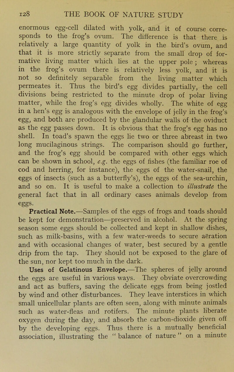 enormous egg-cell dilated with yolk, and it of course corre- sponds to the frog’s ovum. The difference is that there is relatively a large quantity of yolk in the bird’s ovum, and that it is more strictly separate from the small drop of for- mative living matter which lies at the upper pole; whereas in the frog’s ovum there is relatively less yolk, and it is not so definitely separable from the living matter which permeates it. Thus the bird’s egg divides partially, the cell divisions being restricted to the minute drop of polar living matter, while the frog’s egg divides wholly. The white of egg in a hen’s egg is analogous with the envelope of jelly in the frog’s egg, and both are produced by the glandular walls of the oviduct as the egg passes down. It is obvious that the frog’s egg has no shell. In toad’s spawn the eggs lie two or three abreast in two long mucilaginous strings. The comparison should go further, and the frog’s egg should be compared with other eggs which can be shown in school, e.g. the eggs of fishes (the familiar roe of cod and herring, for instance), the eggs of the water-snail, the eggs of insects (such as a butterfly’s), the eggs of the sea-urchin, and so on. It is useful to make a collection to illustrate the general fact that in all ordinary cases animals develop from eggs. Practical Note.—Samples of the eggs of frogs and toads should be kept for demonstration—preserved in alcohol. At the spring season some eggs should be collected and kept in shallow dishes, such as milk-basins, with a few water-weeds to secure aeration and with occasional changes of water, best secured by a gentle drip from the tap. They should not be exposed to the glare of the sun, nor kept too much in the dark. Uses of Gelatinous Envelope.—The spheres of jelly around the eggs are useful in various ways. They obviate overcrowding and act as buffers, saving the delicate eggs from being jostled by wind and other disturbances. They leave interstices in which small unicellular plants are often seen, along with minute animals such as water-fleas and rotifers. The minute plants liberate oxygen during the day, and absorb the carbon-dioxide given off by the developing eggs. Thus there is a mutually beneficial association, illustrating the “ balance of nature ” on a minute