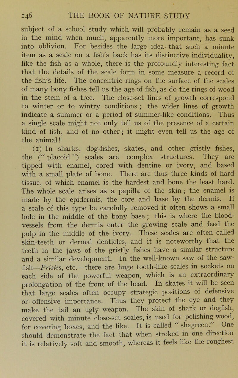 subject of a school study which will probably remain as a seed in the mind when much, apparently more important, has sunk into oblivion. For besides the large idea that such a minute item as a scale on a fish’s back has its distinctive individuality, like the fish as a whole, there is the profoundly interesting fact that the details of the scale form in some measure a record of the fish’s life. The concentric rings on the surface of the scales of many bony fishes tell us the age of fish, as do the rings of wood in the stem of a tree. The close-set lines of growth correspond to winter or to wintry conditions ; the wider lines of growth indicate a summer or a period of summer-like conditions. Thus a single scale might not only tell us of the presence of a certain kind of fish, and of no other; it might even tell us the age of the animal! (1) In sharks, dog-fishes, skates, and other gristly fishes, the (“ placoid ”) scales are complex structures. They are tipped with enamel, cored with dentine or ivory, and based with a small plate of bone. There are thus three kinds of hard tissue, of which enamel is the hardest and bone the least hard. The whole scale arises as a papilla of the skin ; the enamel is made by the epidermis, the core and base by the dermis. If a scale of this type be carefully removed it often shows a small hole in the middle of the bony base ; this is where the blood- vessels from the dermis enter the growing scale and feed the pulp in the middle of the ivory. These scales are often called skin-teeth or dermal denticles, and it is noteworthy that the teeth in the jaws of the gristly fishes have a similar structure and a similar development. In the well-known saw of the saw- fish—Pristis, etc.—there are huge tooth-like scales in sockets on each side of the powerful weapon, which is an extraordinary prolongation of the front of the head. In skates it will be seen that large scales often occupy strategic positions of defensive or offensive importance. Thus they protect the eye and they make the tail an ugly weapon. The skin of shark or dogfish, covered with minute close-set scales, is used for polishing wood, for covering boxes, and the like. It is called shagreen. One should demonstrate the fact that when stroked in one direction it is relatively soft and smooth, whereas it feels like the roughest