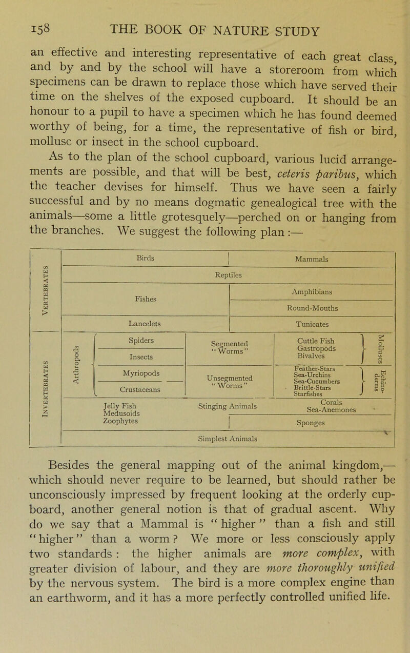 an effective and interesting representative of each great class and by and by the school will have a storeroom from which specimens can be drawn to replace those which have served their time on the shelves of the exposed cupboard. It should be an honour to a pupil to have a specimen which he has found deemed worthy of being, for a time, the representative of fish or bird, mollusc or insect in the school cupboard. As to the plan of the school cupboard, various lucid arrange- ments are possible, and that will be best, ceteris paribus, which the teacher devises for himself. Thus we have seen a fairly successful and by no means dogmatic genealogical tree with the animals—some a little grotesquely—perched on or hanging from the branches. We suggest the following plan :— Birds Mammals w H < Reptiles & CQ w H Fishes Amphibians « Id > Round-Mouths Lancelets Tunicates Spiders Segmented Cuttle Fish Gastropods Bivalves 1 C/3 O a, o Insects “ Worms” I Id H < u u < Myriopods Unsegmented “Worms  F eather-Stars Sea-Urchins Sea-Cucumbers Brittle-Stars Starfishes - PQ Id H Crustaceans v. if Id £ Jelly Fish Medusoids Zoophytes Stinging Animals Corals Sea-Anemones * Sponges Simplest Animals Besides the general mapping out of the animal kingdom,— which should never require to be learned, but should rather be unconsciously impressed by frequent looking at the orderly cup- board, another general notion is that of gradual ascent. Why do we say that a Mammal is “ higher ” than a fish and still “ higher ” than a worm ? We more or less consciously apply two standards : the higher animals are more complex, with greater division of labour, and they are more thoroughly unified by the nervous system. The bird is a more complex engine than an earthworm, and it has a more perfectly controlled unified life.