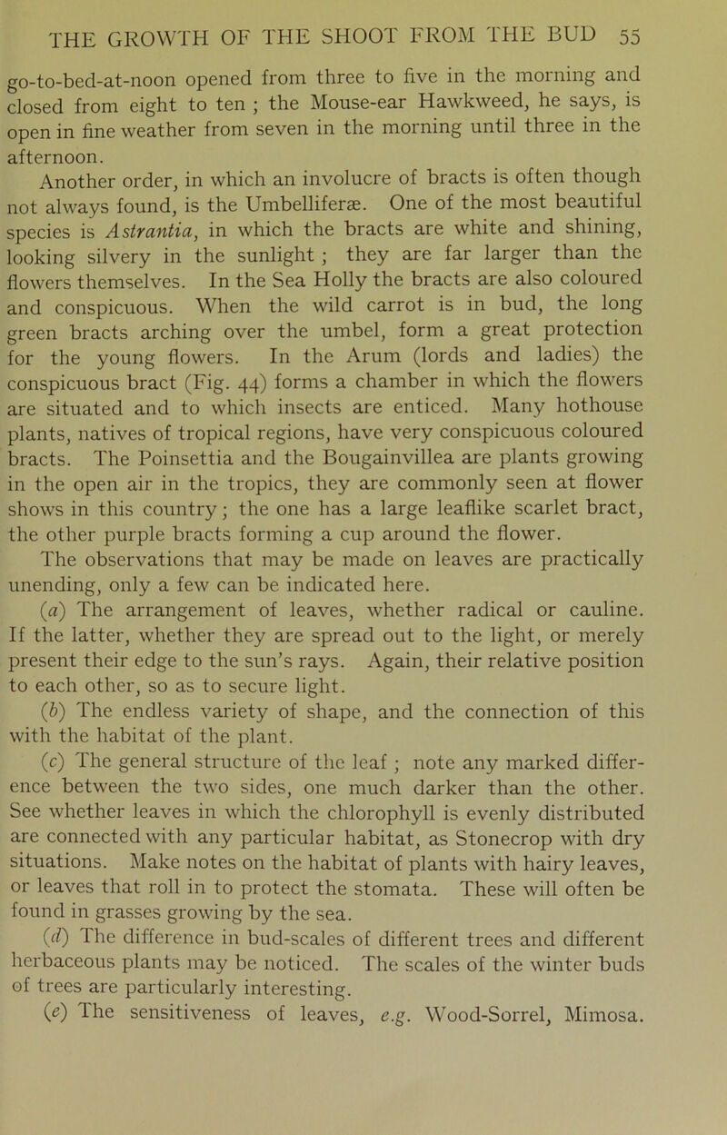 go-to-bed-at-noon opened from three to five in the morning and closed from eight to ten ■ the Mouse-ear Hawkweed, he says, is open in fine weather from seven in the morning until three in the afternoon. Another order, in which an involucre of bracts is often though not always found, is the Umbelliferae. One of the most beautiful species is Astrantia, in which the bracts are white and shining, looking silvery in the sunlight ; they are far larger than the flowers themselves. In the Sea Holly the bracts are also coloured and conspicuous. When the wild carrot is in bud, the long green bracts arching over the umbel, form a great protection for the young flowers. In the Arum (lords and ladies) the conspicuous bract (Fig. 44) forms a chamber in which the flowers are situated and to which insects are enticed. Many hothouse plants, natives of tropical regions, have very conspicuous coloured bracts. The Poinsettia and the Bougainvillea are plants growing in the open air in the tropics, they are commonly seen at flower shows in this country; the one has a large leaflike scarlet bract, the other purple bracts forming a cup around the flower. The observations that may be made on leaves are practically unending, only a few can be indicated here. (а) The arrangement of leaves, whether radical or cauline. If the latter, whether they are spread out to the light, or merely present their edge to the sun’s rays. Again, their relative position to each other, so as to secure light. (б) The endless variety of shape, and the connection of this with the habitat of the plant. (c) The general structure of the leaf ; note any marked differ- ence between the two sides, one much darker than the other. See whether leaves in which the chlorophyll is evenly distributed are connected with any particular habitat, as Stonecrop with dry situations. Make notes on the habitat of plants with hairy leaves, or leaves that roll in to protect the stomata. These will often be found in grasses growing by the sea. (d) lhe difference in bud-scales of different trees and different herbaceous plants may be noticed. The scales of the winter buds of trees are particularly interesting. (e) The sensitiveness of leaves, e.g. Wood-Sorrel, Mimosa.