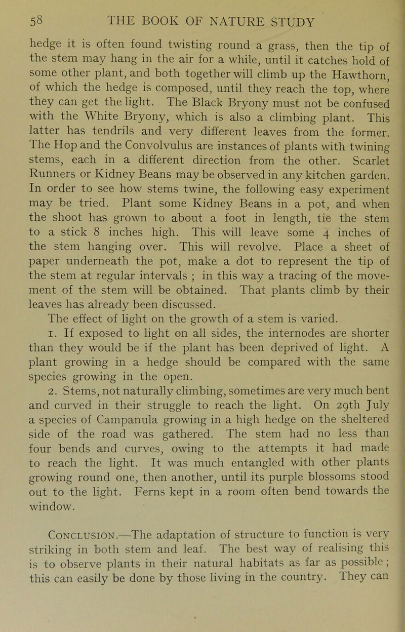 hedge it is often found twisting round a grass, then the tip of the stem may hang in the air for a while, until it catches hold of some other plant, and both together will climb up the Hawthorn, of which the hedge is composed, until they reach the top, where they can get the light. The Black Bryony must not be confused with the White Bryony, which is also a climbing plant. This latter has tendrils and very different leaves from the former. The Hop and the Convolvulus are instances of plants with twining stems, each in a different direction from the other. Scarlet Runners or Kidney Beans maybe observed in any kitchen garden. In order to see how stems twine, the following easy experiment may be tried. Plant some Kidney Beans in a pot, and when the shoot has grown to about a foot in length, tie the stem to a stick 8 inches high. This will leave some 4 inches of the stem hanging over. This will revolve. Place a sheet of paper underneath the pot, make a dot to represent the tip of the stem at regular intervals ; in this way a tracing of the move- ment of the stem will be obtained. That plants climb by their leaves has already been discussed. The effect of light on the growth of a stem is varied. 1. If exposed to light on all sides, the internodes are shorter than they would be if the plant has been deprived of light. A plant growing in a hedge should be compared with the same species growing in the open. 2. Stems, not naturally climbing, sometimes are very much bent and curved in their struggle to reach the light. On 29th July a species of Campanula growing in a high hedge on the sheltered side of the road was gathered. The stem had no less than four bends and curves, owing to the attempts it had made to reach the light. It was much entangled with other plants growing round one, then another, until its purple blossoms stood out to the light. Ferns kept in a room often bend towards the window. Conclusion.—The adaptation of structure to function is very striking in both stem and leaf. The best way of realising this is to observe plants in their natural habitats as far as possible; this can easily be done by those living in the country. They can