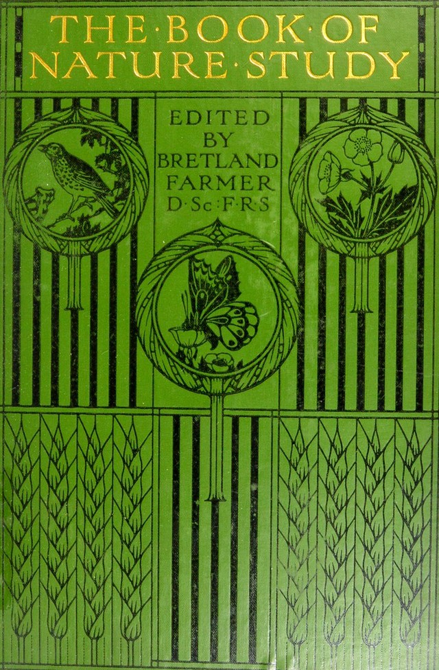digitised image 1