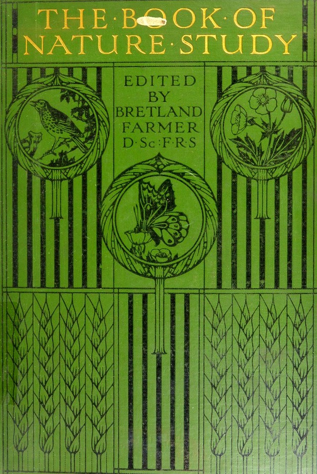digitised image 1