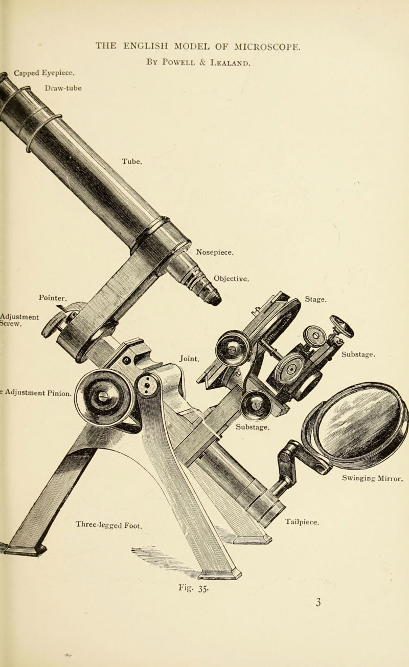 Substage. Swinging Mirror. e Adjustment Pinion Tailpiece. 35- Capped E^’epiece. Draw-tube THE ENGLISH MODEL OF MICROSCOPE. By Powell & Lealand. Pointer Adjustment Screw. Nosepiece. Objective. Stage 3
