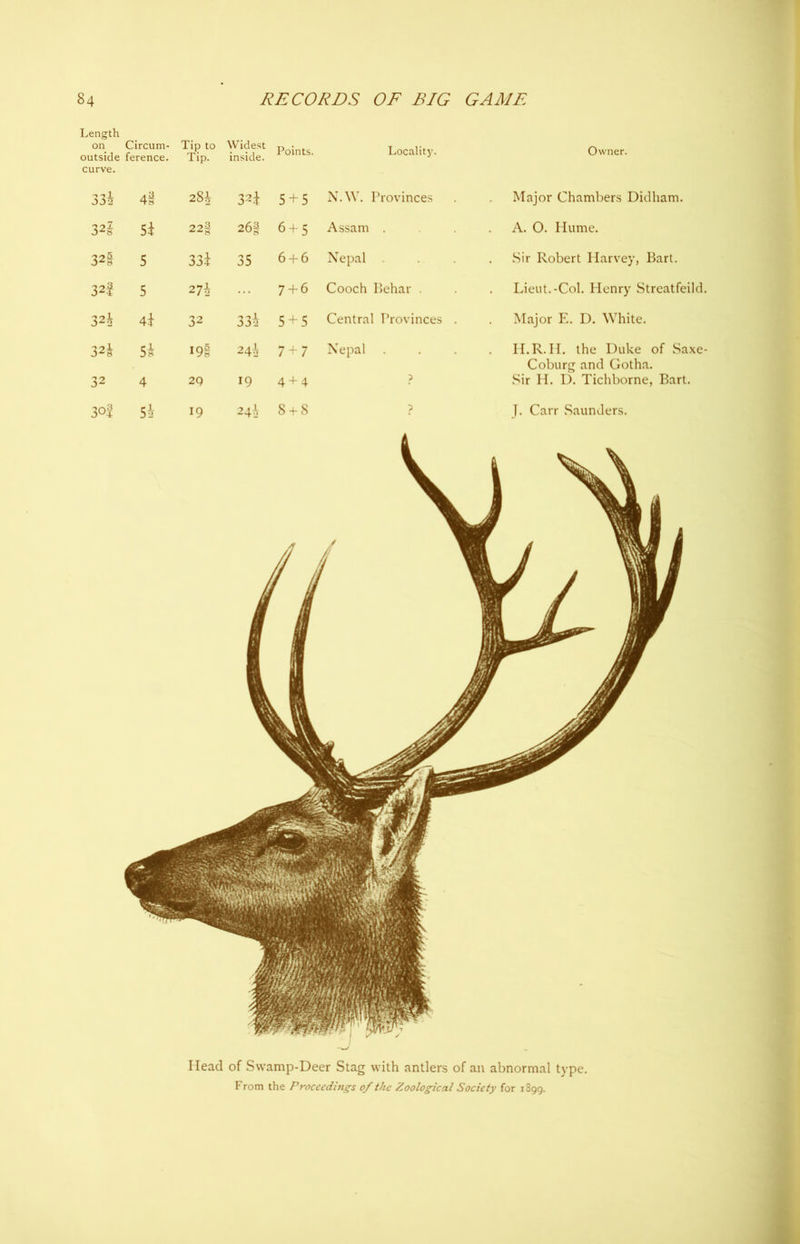 Length on Circum- outside ference. Tip to Tip. Widest inside. Points. Locality. Owner. curve. 33h 4 § 28i 32\ 5 + 5 N. W. Provinces Major Chambers Didham. 32J 5i 22g 26| 6 + 5 Assam . A. 0. Hume. 32§ 5 33i 35 6 + 6 Nepal Sir Robert Harvey, Bart. 32| 5 274 7 + 6 Cooch Behar . Lieut.-Col. Henry Streatfeild. 32* 4i 32 33i 5 + 5 Central Provinces . Major E. D. White. 32J Si I9S 24i 7 + 7 Nepal H.R.H. the Duke of Saxe- 32 4 2Q 19 4 + 4 p Coburg and Gotha. Sir H. D. Tichborne, Bart. 3o‘i Si 19 24i 8 + 8 p J. Carr .Saunders. Head of Swamp-Deer Stag with antlers of an abnormal type. From the Proceeding's of the Zoological Society for 1899.