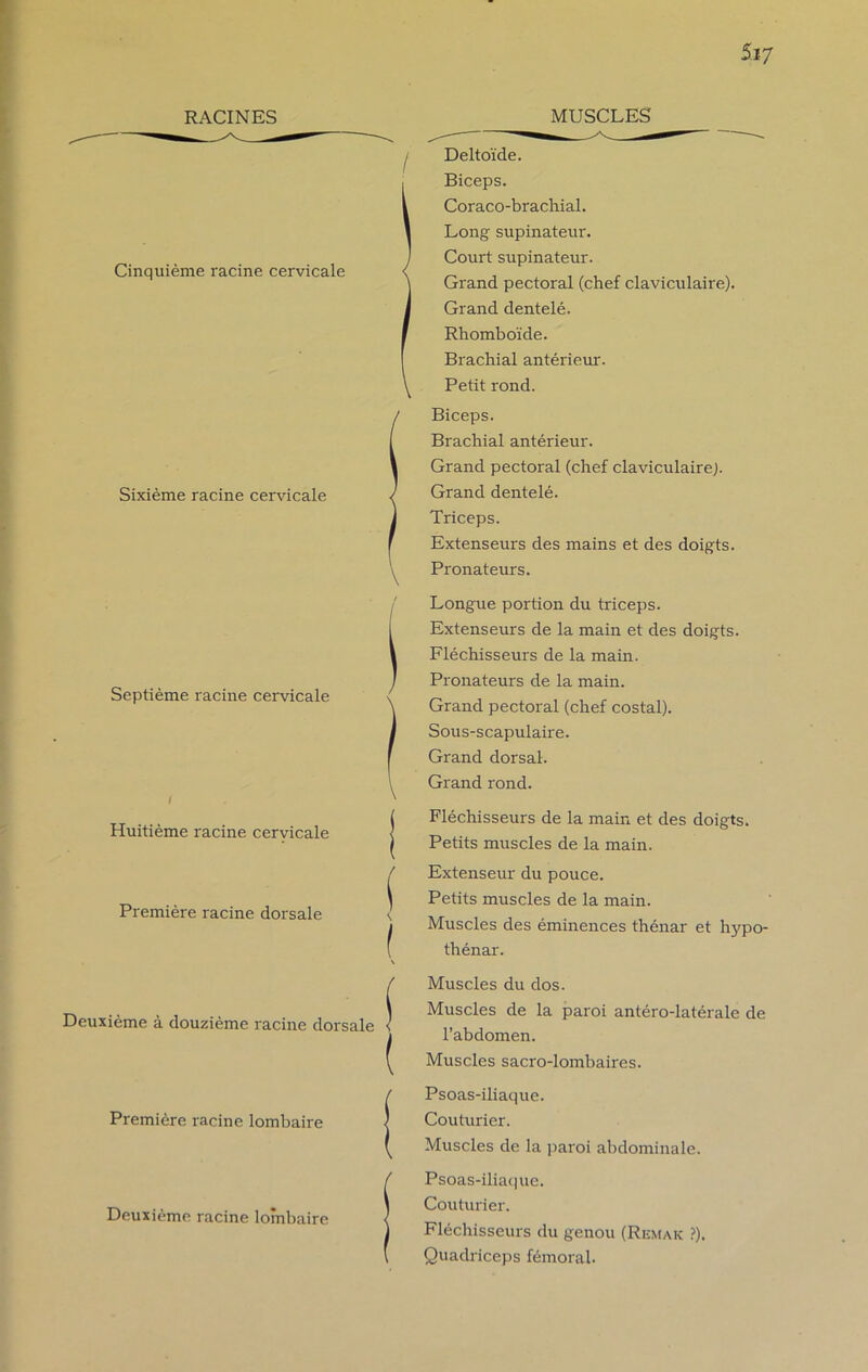 5ï7 RACINES MUSCLES Cinquième racine cervicale Sixième racine cervicale Septième racine cervicale Huitième racine cervicale Première racine dorsale Deuxième à douzième racine dorsale Première racine lombaire Deuxième racine lombaire Deltoïde. Biceps. Coraco-brachial. Long supinateur. Court supinateur. Grand pectoral (chef claviculaire). Grand dentelé. Rhomboïde. Brachial antérieur. Petit rond. Biceps. Brachial antérieur. Grand pectoral (chef claviculaire). Grand dentelé. Triceps. Extenseurs des mains et des doigts. Pronateurs. Longue portion du triceps. Extenseurs de la main et des doigts. Fléchisseurs de la main. Pronateurs de la main. Grand pectoral (chef costal). Sous-scapulaire. Grand dorsal. Grand rond. Fléchisseurs de la main et des doigts. Petits muscles de la main. Extenseur du pouce. Petits muscles de la main. Muscles des éminences thénar et hypo- thénar. Muscles du dos. Muscles de la paroi antéro-latérale de l’abdomen. Muscles sacro-lombaires. Psoas-iliaque. Couturier. Muscles de la paroi abdominale. Psoas-iliaque. Couturier. Fléchisseurs du genou (Remak ?). Quadriceps fémoral.