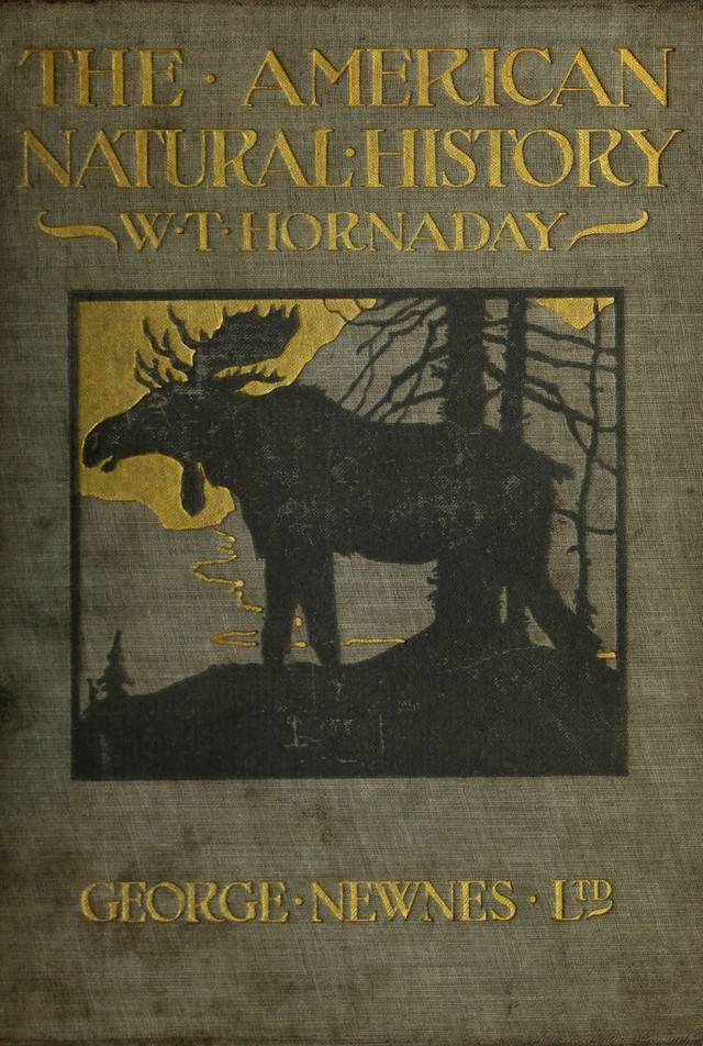 No text description is available for this image