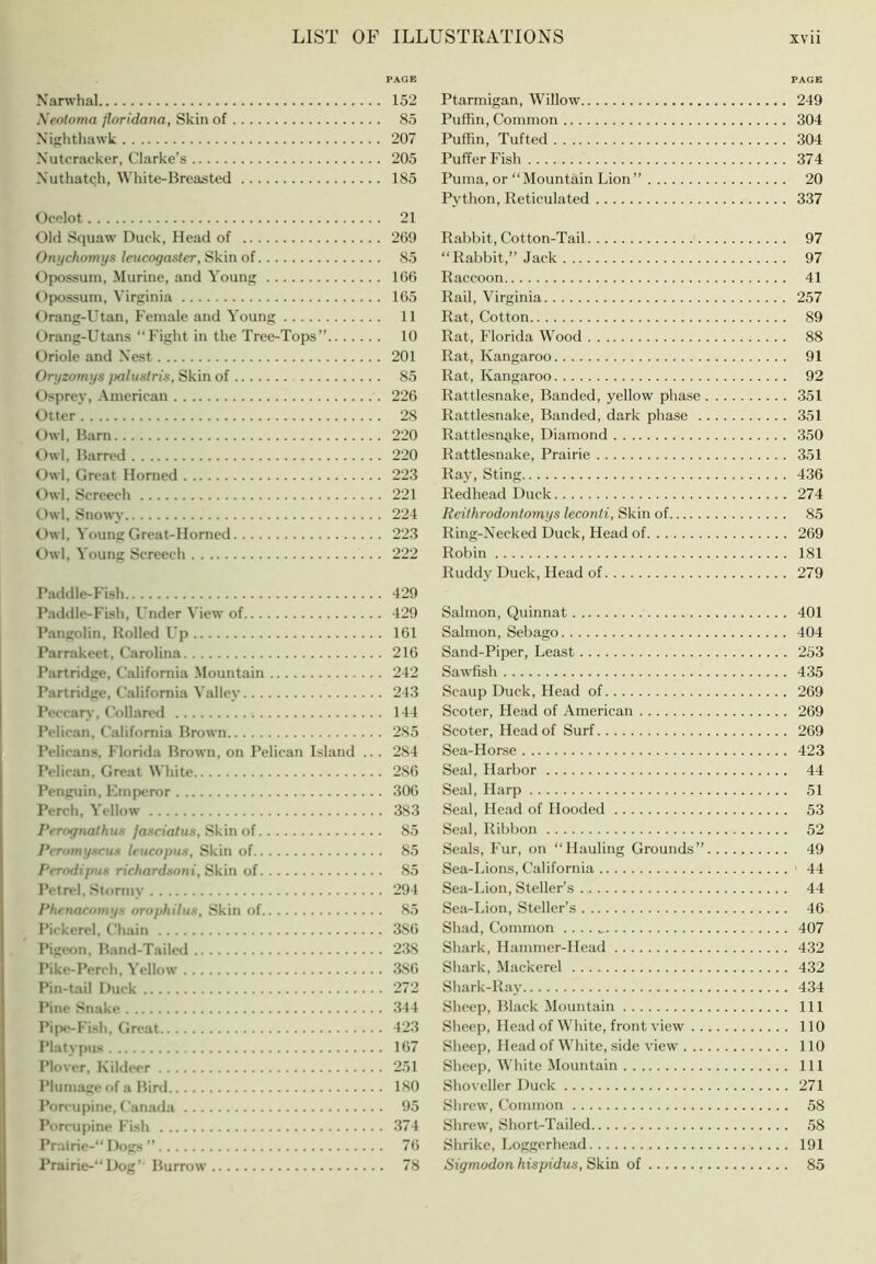 Narwhal Xeotoma ftoridana, Skin of Niglithawk Nutcracker, Clarke’s Nuthatch, White-Breasted Ocelot Old Squaw Duck, Head of Onychomys leucogaster, Skin of Ojx)ssuin, Murine, and Younjx Of)ossuni, Virfiinia Orang-Utan, Female and Young Orang-Utans “Fight in the Tree-Tops’’ Oriole and Nest Oryzomys {xilustris, Skin of Osprey, American Otter Owl, Barn Owl, Barred Owl, Great Horned Owl, Screech Owl, Snow>’ Owl, Young Great-Horned Owl, Young Screech Paddle-Fish Paddle-Fish, Under View of Pangolin, Boiled Up Parrakeet, Carolina Partridge, California Mountain Partridge, California Vallej’ Peccary, Collared Pelican, California Brown Pelicans, Florida Brown, on Pelican Island ... Pelican, Great White Penguin, Emperor Perch, Yellow Prrngnathus fasciatus. Skin of PcTomyscus lencopus. Skin of Perodipux richardsoni, Skin of Petrel, Stormy Phenacomys orophilux. Skin of Pickerel, Chain Pigeon, Band-Tailed Pike-Perch, Yellow Pin-tail Duck Pine Snake Pipe-Fish, Great Platypus Plover, Kilfleer Plumage of a Bird Porcupine, Canada Porcupine Fish Prairie- Dogs ’’ Prairie-Dog’ Burrow Ptarmigan, Willow 249 Puffin, Common 304 Puffin, Tufted 304 Puffer Fish 374 Puma, or “Mountain Lion’’ 20 Python, Reticulated 337 Rabbit, Cotton-Tail 97 “Rabbit,” Jack 97 Raccoon 41 Rail, Virginia 257 Rat, Cotton 89 Rat, Florida Wood 88 Rat, Kangaroo 91 Rat, Kangaroo 92 Rattlesnake, Banded, yellow phase 351 Rattlesnake, Banded, dark phase 351 Rattlesnake, Diamond 350 Rattlesnake, Prairie 351 Ray, Sting 436 Redhead Duck 274 Reithrodontomys leconti, Skin of 85 Ring-Necked Duck, Head of 269 Robin 181 Ruddy Duck, Head of 279 Salmon, Quinnat 401 Salmon, Sebago 404 Sand-Piper, Least 253 Sawfish 435 Scaup Duck, Head of 269 Scoter, Head of American 269 Scoter, Head of Surf 269 Sea-Horse 423 Seal, Harbor 44 Seal, Harp 51 Seal, Head of Hooded 53 Seal, Ribbon 52 Seals, Fur, on “Hauling Grounds” 49 Sea-Lions, California ' 44 Sea-Lion, Steller’s 44 Sea-Lion, Steller’s 46 Shad, Common 407 Shark, Hammer-Head 432 Shark, Mackerel 432 Shark-Ray 434 Sheep, Black Mountain Ill Sheep, Head of White, front view 110 Sheep, Head of White, side view 110 Sheep, White Mountain Ill Shoveller Duck 271 Shrew, Common 58 Shrew, Short-Tailed 58 Shrike, Loggerhead 191 Sigmodon hispidus, Skin of 85 PAGE 152 85 207 205 185 21 269 85 166 165 11 10 201 85 226 28 220 220 223 221 224 223 222 429 429 161 216 242 243 144 285 284 286 306 383 85 85 85 294 85 386 238 386 272 344 423 167 251 180 95 374 76 78