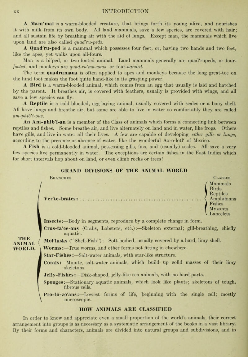 A I^Iam'mal is a warm-blooded creature, that brings forth its young alive, and nourishes it wdth milk from its own body. All land mammals, save a few species, are covered with hair; and all sustain life by breathing air with the aid of lungs. Except man, the mammals which live upon land are also called quad'ru-peds. A Quad'ru-ped is a mammal which possesses four feet, or, having two hands and two feet, like the apes, yet walks upon all-fours. Man is a bi'ped, or two-footed animal. Land mammals generally are quad'rupeds, or four- jooted, and monkeys are quad-ru'ma-nous, or four-/ianded. The term quadrumana is often applied to apes and monkeys because the long great-toe on the hind foot makes the foot quite hand-like in its grasping power. A Bird is a warm-blooded animal, which comes from an egg that usually is laid and hatched by the parent. It breathes air, is covered with feathers, usually is provided with wings, and all save a few species can fly. A Reptile is a cold-blooded, egg-laying animal, usually covered with scales or a bony shell. All have lungs and breathe air, but some are able to live in water so comfortably they are called am-phib'i-ous. An Am-phib'i-an is a member of the Class of animals which forms a connecting link between reptiles and fishes. Some breathe air, and live alternately on land and in water, like frogs. Others have gills, and live in w'ater all their lives. A few are capable of developing either gills or lungs, according to the presence or absence of water, like the wonderful Ax-o-lotl' of Mexico. A Fish is a cold-blooded animal, possessing gills, fins, and (usually) scales. All save a very few species live permanently in w'ater. The exceptions are certain fishes in the East Indies which for short intervals hop about on land, or even climb rocks or trees! GRAND DIVISIONS OF THE ANIMAL WORLD Branches. Classes. ! Mammals Birds Reptiles Amphibians Fishes Myzonts Lancelets Insects:—Body in segments, reproduce by a complete change in form. Crus-ta'ce-ans (Crabs, Lobsters, etc.):—Skeleton external; gill-breathing, chiefly aquatic. Mol'lusks (“ Shell-Fish”);—Soft-bodied, usually covered by a hard, limy shell. Worms:—True worms, and other forms not fitting in elsewhere. Star-Fishes:—Salt-water animals, with star-like structure. Corals:—Minute, salt-water animals, which build up solid masses of their limy skeletons. Jelly-Fishes:—Disk-shaped, jelly-like sea animals, with no hard parts. Sponges:—Stationary aquatic animals, which look like plants; skeletons of tough, fibrous cells. Pro-to-zo'ans:—Lowest forms of life, beginning with the single cell; mostly microscopic. HOW ANIMALS ARE CLASSIFIED In order to know and appreciate even a small proportion of the world’s animals, their correct arrangement into groups is as necessary as a systematic arrangement of the books in a vast library. By their forms and characters, animals are divided into natural groups and subdivisions, and in THE ANIMAL WORLD.