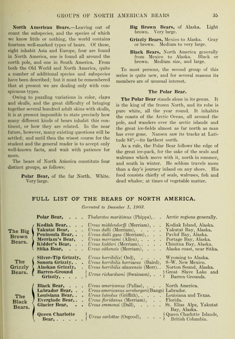 North American Bears.—Leaving out of count the subspecies, and the species of which we know little or nothing, the world contains fourteen well-marked types of bears. Of these, eight inhabit Asia and Europe, four are found in North America, one is found all around the north pole, and one in South America. From both the Old World and N^orth America, quite a number of additional species and subspecies have been described; but it must be remembered that at present we are dealing only with con- spicuous tj'pes. Owing to puzzling variations in color, clajvs and skulls, and the great difficulty of bringing together several hundred adult skins with skulls, it is at present impossible to state precisely how many different kinds of bears inhabit this con- tinent, or how they are related. In the near future, however, many e.xisting questions will be settled; and until then the wisest course for the student and the general reader is to accept only well-known facts, and wait with patience for more. The bears of North America constitute four distinct groups, as follows: Polar Bear, of the far North. White. \’ery large. Big Brown Bears, of Alaska. Light brown, ^'ery large. Grizzly Bears, Mexico to Alaska. Gray or brown. Medium to very large. Black Bears, North America generally from Mexico to Alaska. Black or brown. Medium size, and large. To most persons, the second group of this series is quite new, and for several reasons its members are of unusual interest. The Polar Bear. The Polar Bear stands alone in its genus. It is the king of the frozen North, and its robe is pure white, all the year round. It inhabits the coasts of the Arctic Ocean, all around the pole, and wanders over the arctic islands and the great ice-fields almost as far north as man has ever gone. Nansen saw its tracks at Lati- tude 84°,—its farthest north. As a rule, the Polar Bear follows the edge of the great ice-pack, for the sake of the seals and walruses which move with it, north in summer, and south in winter. He seldom travels more than a day’s journey inland on any shore. His food consists chiefly of seals, walruses, fish and dead whales; at times of vegetable matter. FULL LIST OF THE BEARS OF NORTH AMERICA. Corrected to December 1, 1903. Polar Bear, Thalarctos maritimus (Phipps), Arctic regions generally. The Big Brown Bears. S Kodiak Bear, . . Yakutat Bear, Peninsula Bear, . Merriam’s Bear, Kidder’s Bear, . Sitka Bear, . . Ursus middendorffi (Merriam), Ursus dalli . . Ursus dalli gyas (Merriam),. C/rsus em'ami (.Allen), . . [/rsus fcfdderi (Merriam),. . Ursus sitkensis (Merriam), . Kodiak Island, Alaska. Yakutat Bay, Alaska. Pavlof Bay, Alaska. Portage Bay, Alaska. Chinitna Bay, Alaska. Alaska coast, near Sitka. The Grizzly Bears. Silver-Tip Grizzly, Sonora Grizzly, . . Ala.skan Grizzly, Barren-Ground Grizzly, . . . . Ursus horribilis{ Ord), . . . . Ursus horribilis horriaeus (Baird), Ursus horribilis alascensis (Merr).. Ursus richardsoni (Swainson), . . Wyoming to Alaska. S-W. New Mexico. Norton Sound, Alaska. Great Slave Lake and Barren Grounds. The Black Bears Black Bear, . . . Labrador Bear, . . Ix)uisiana Bear, . . Everglade Bear,. . Glacier Bear, . . Queen Charlotte Bear, Ursus americanus (Pallas), . . . North America. Ursus americanus sornborgeri{Ba,ngs) Labrador. Ursus luteolus (Griffith), . . Ursus floridanus (Merriam), Ursus emmonsi (Dali), . . I Ursus carlottae (Osgood), . . Louisiana and Texas. . . Florida. . . St. Elias Alps, Yakutat Bay, Alaska. j Queen Charlotte Islands, ‘ ■ ( British Columbia.