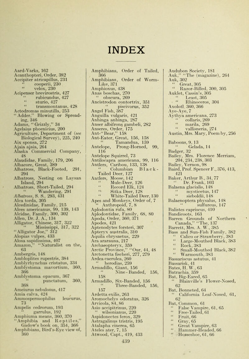 INDEX Aard-Varks, 162 Acantliopteri, Order, 382 Accipiter atricapillus, 231 “ cooperii, 230 “ velox, 230 Acipenser brevirostris, 427 “ rubicundus, 427 “ sturio, 427 “ transmontanus, 428 Aetodromas minutilla, 253 “ Adder,” Blowing or Spread- ing, 346 Adams, “ Grizzly,” 34 Agelaius phoenieius, 200 Agriculture, Department of (see Biological Survey), 225, 240 Aix sponsa, 272 Ajaia ajaia, 264 Alaska Commercial Company, 48 Alaudidae, Family, 179, 206 Albacore, Great, 389 Albatross, Black-Footed, 291, 294 Albatross, Nesting on Laysan Island, 294 Albatross, Short-Tailed, 294 “ Wandering, 291 Albatross, S. S.. 293, 431 Alca torda, 30.5 Alcedinidae, Family, 215 Alces americanus, 99, 139, 143 Alcidae, Family, 300, 302 Allen, Dr. J. A., 134 Alligator, Chinese, 317, 322 “ Mississippi, 317, 322 “.\lligator .Joe,” 312 Alopias vulpes, 433 Alo.sa sapidissima, 407 Amazon,” “Naturalist on the, 63 Ambergris, 148 Ambloplites rupestris, 384 Amblyrhynchus cristatus, 334 Amblvstoma mavortium, 360, 366 Aml)lystoma opacum, 367 “ punctatum, 360, 3()8 .\meiurus nelnilosus, 417 Aniia calva, 424 Arnmospermophilus leucurus, 73 .\mpelis cedrorum, 193 “ garrulus, 192 Amphiuma means, 360, 370 “.\mphibia and Reptiles,” Gadow’s book on, 354, .366 •Amphibians, Bird’s-Eve view of, Amphibians, Order of Tailed, 366 Amphibians, Order of Worm- Like, 371 Amphioxus, 438 Anas bosehas, 270 “ obscura, 269 Ancistrodon contortrix, 351 “ piscivorus, 352 Angel Fish, 387 Anguilla vulgaris, 421 Anhinga anhinga, 287 Anser albifrong gambeli, 282 Anseres, Order, 175 Ant-“Bear,” 158 Ant-Eater, Great, 156, 158 “ Tamandua, 159 Antelope, Prong-Horned, 99, 116 ■Antelope Squirrel, 73 Antilocapra americana, 99, 116 Antlers, Caribou, 133, 138 “ Columbian Black- Tailed Deer, 127 Antlers, Moose, 142 “ Mule-Deer, 126 “ Record Elk, 124 “ Sitka Deer, 128 “ White-Tailed Deer, 130 Apes and Monke3s, Order of, 7 “ Anthropoid, 7, 8 Aplodontia rufa, 80 Aplodontidae, Familv, 68, 80 Apoda, Order, 360, 371 Apodes, 421 ' Aptenodytes forsteri, .307 Apterj'x australis, 310 Aquila chrysaetus, 229 Ara ararauna, 217 Archaeopterv.x, 3.59 Arctic Province,” “Our, 44, 48 Arctonetta fischeri, 277, 279 Ardea caerulea, 260 “ herodias, 259 .Armadillo, Giant, 156 “ Nine-Banded, 156, 1.58 Arnnadillo, >Six-Banded, 156 “ Three-Banded, 156, 1.57 Ardetta exilis, 26.3 -Aromochelvs odoratus, 326 Arvicola, 84, 86 -Asio accipitrinus, 220 “ wilsonianus, 220 .Aspidonectes ferox, 329 -Astragalinus tristris, 195 -Atalapha cinerea, 65 -Ateles ater, 7, 15 439 Audubon Society, 181 Auk,” “The (magazine), 264 Auk, 302 “ Great, 30.5 “ Razor-Billed, .300, 30.5 Auklet, Cassin’s, .305 “ Least, .30.5 “ Rhinoceros, 304 .Axolotl, .360, 366 .Aye-.Aj'e, 7 .Aythj'a americana, 273 “ collaris, 269 “ marila, 269 “ vallisneria, 274 Austin, Mrs. Mary, Poem by, 256 Baboons, 9,13 “ Gelada, 14 Badger, 32 Bailev, Mrs. Florence Merriam, 204,234,238,303 Bailey, Vernon, 98 Baird, Prof. Spencer F., 376, 413, 421 Baker, Arthur B., 34, 77 “ Dr. Frank, 10.3 Balaena glacialis, 148 “ mysticetus, 147 “ sieboldii, 148 Balaenoptera phvsalus, 148 “ sulfureus, 147 Balistes capriscus, 410 Bandicoots, 163 Barren Grounds of Northern Canada,” “The, 1.37 Barrett, Mrs. A. W., 385 Bass and Sun-Fish Family, .382 “ Calico or Strawberry, .383 “ Large-Mouthed Black, 383 “ Rock,383 “ Small-Mouthed Black, 382 “ Warmoutli, 383 Bassariscus astutus, 41 Bassarisk, 41 Bates, II. W., 63 Batrachia, .3.59 Bat, Big-Eared, 6.5 “ Blainville’s Flower-Nosed, 62 Bat, Bonneted, 64 “ California Leaf-Nosed, 61, 62 Rat, Common, 61 “ False Vampire, 61, 65 “ Free-Tailed, 61 “ Fruit, 66 “ Gray, 65 “ Great Vampire, 63 “ Hammer-Headed, 66