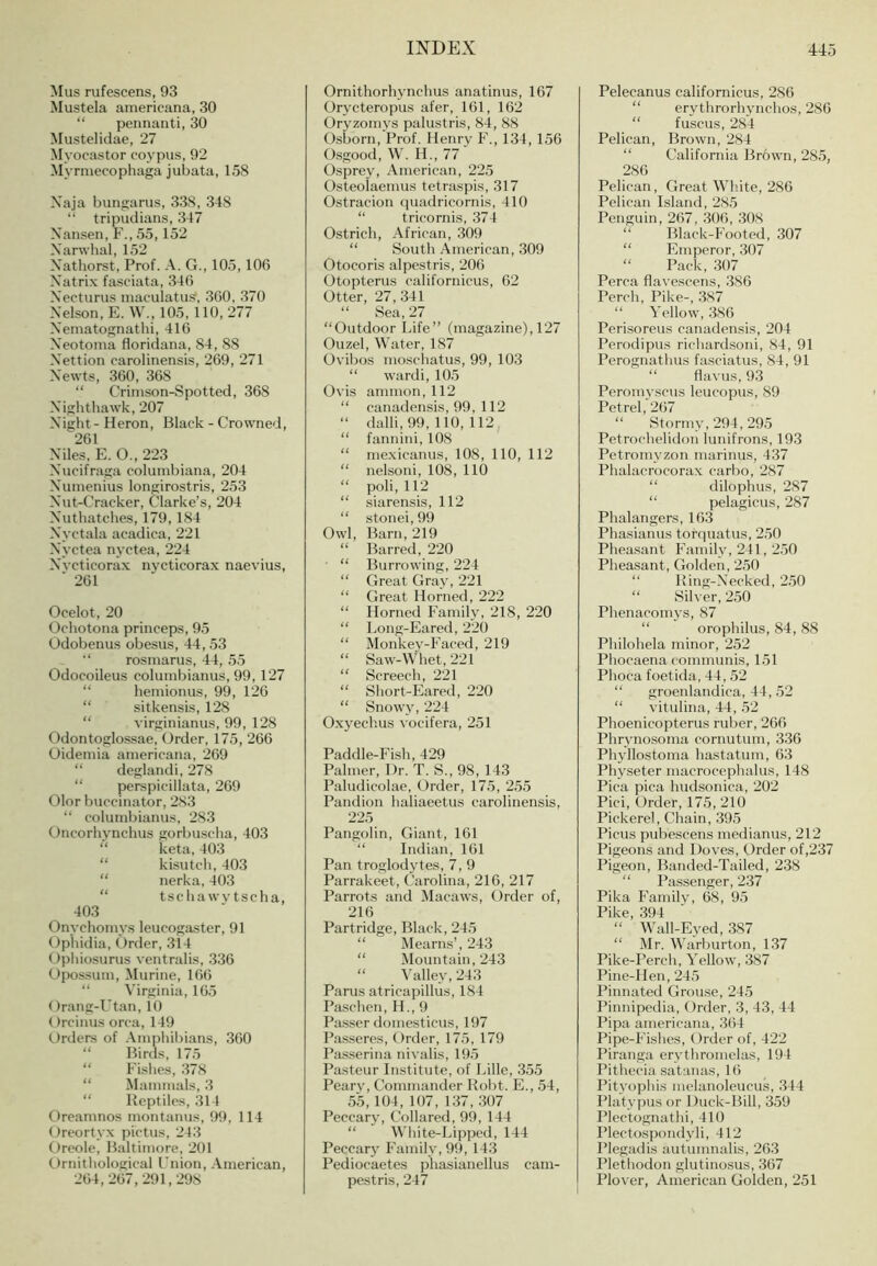 Mus rufescens, 93 Mustela americana, 30 “ pennaiiti, 30 Mustelidae, 27 Myocastor coypus, 92 Myrmecophaga juhata, 158 Xaja bungariis, 338, 348 “ tripudians, 347 Xansen, F., 55,152 X'arwhal, 152 X’athorst, Prof. A. G., 105,106 X'atrix fasciata, 346 Xecturus maculatu^, 360, 370 Xelson, E. W., 105,110, 277 Xematognathi, 416 Xeotoina floridana, 84, 88 Xettion carolinensis, 269, 271 Xewts, 360, 368 “ Crimson-Spotted, 368 Xighthawk, 207 Xight-Heron, Black - Crowned, 261 Xiles, E. O., 223 Xucifraga columhiana, 204 Xuinenius longirostris, 253 Xut-Cracker, Clarke’s, 204 Xuthatches, 179, 184 Xyctala acadica, 221 Xyctea nyctea, 224 Xvcticorax nycticorax naevius, ■ 261 Ocelot, 20 Ochotona princeps, 95 Odobenus obesus, 44, 53 rosinanis, 44, 55 Odocoileus columbianus, 99, 127 “ hemionus, 99, 126 “ sitkensis, 128 “ virginianus, 99, 128 Odontoglossae, Order, 175, 266 Oideinia americana, 269 “ deglandi, 278 “ perspicillata, 269 Olor buccinator, 283 “ columbianus, 283 Oncorbynchus gorbusclia, 403 “ keta, 403 “ kisutcb, 403 “ nerka, 403 “ tscha wv tscha, 403 Onychomys leucogaster, 91 Opiiidia, Order, 314 Ophiosurus ventralis, 336 Opo.ssum, Murine, 166 “ Virginia, 165 Orang-Utan, 10 Orcinus orca, 149 Orders of Amphibians, 360 “ Birds, 17.5 “ Fishes, 378 “ Mammals, 3 “ Reptiles, .314 Oreamnos montanus, 99, 114 Oreortyx pictus, 243 Oreole, Baltimore, 201 Ornithological Union, .Vmerican, 264,267,291,298 Ornithorhynchus anatinus, 167 Orycteropus afer, 161, 162 Oryzomys palustris, 84, 88 0.sborn, Prof. Henry F., 134, 156 Osgood, W. H., 77 O.sprey, American, 225 Osteolaemus tetraspis, 317 Ostracion quadricornis, 410 “ tricornis, 374 Ostrich, African, 309 “ South American, 309 Otocoris alpestris, 206 Otopterus californicus, 62 Otter, 27, 341 “ Sea, 27 “Outdoor Life” (magazine), 127 Ouzel, Water, 187 Ovibos moscliatus, 99, 103 “ wardi, 105 Ovis amnion, 112 “ canadensis, 99, 112 “ dalli,99, no, 112 “ fannini, 108 “ mexicamis, 108, 110, 112 “ nelsoni, 108, 110 “ poli, 112 “ siarensis, 112 “ stonei, 99 Owl, Barn, 219 “ Barred, 220 ' “ Burrowing, 224 “ Great Gray, 221 “ Great Horned, 222 “ Horned Family, 218, 220 “ Long-Eared, 220 “ Monkey-Faced, 219 “ Saw-Whet, 221 “ Screech, 221 “ Short-Eared, 220 “ Snowy, 224 O.xyechus vocifera, 251 Paddle-Fish, 429 Palmer, Dr. T. S., 98, 143 Paludicolae, Order, 175, 2.55 Pandion haliaeetus carolinensis, 22.5 Pangolin, Giant, 161 “ Indian, 161 Pan troglodytes, 7, 9 Parrakeet, Carolina, 216, 217 Parrots and Macaws, Order of, 216 Partridge, Black, 24.5 “ Mearns’, 243 “ Mountain, 243 “ Valley, 243 Parus atricapillus, 184 Paschen, H., 9 Pa.sser domesticus, 197 Passeres, Order, 17.5, 179 Passerina nivalis, 19.5 Pasteur Institute, of Lille, .355 Pearv, Commander Kobt. E., 54, 55,104, 107, 137, 307 Peccar}', Collared, 99, 144 “ White-Lipped, 144 Peccarj Family, 99, 14.3 Pediocaetes phasianellus cam- pestris, 247 Pelecanus californicus, 286 “ erythrorhynchos, 286 “ fuscus, 284 Pelican, Brown, 284 “ California Brown, 28.5, 286 Pelican, Great Wh.ite, 286 Pelican Island, 285 Penguin, 267, .306, ,308 “ Black-Footed, 307 “ Emperor, 307 “ Pack, .307 Perea flavescens, 386 Perch, Pike-, 387 “ Yellow, .386 Perisoreus canadensis, 204 Perodipus ricliard.soni, 84, 91 Perognathus fasciatus, 84, 91 “ davtis, 93 Peromyscus leucopus, 89 Petrel, 267 “ Stormy, 294, 29.5 Petrochelidon lunifrons, 19.3 Petromyzon marinus, 437 Phalacrocorax carbo, 287 “ dilophus, 287 “ pelagicus, 287 Phalangers, 16.3 Phasianus torquatus, 2.50 Pheasant F.amily, 241,2.50 Pheasant, Golden, 250 “ Ring-Xecked, 2,50 “ Silver, 2.50 Phenacomys, 87 “ orophilus, 84, 88 Philohela minor, 252 Phocaena communis, 151 Phoca foetida, 44, 52 “ groenlandica, 44, 52 “ vitulina, 44, 52 Phoenicopterus ruber, 266 Phrynosoma cornutum, 3.36 Phvllostoma hastatum, 6.3 Physeter macrocephalus, 148 Pica pica hudsonica, 202 Pici, Order, 175, 210 Pickerel, Chain, 395 Picus pubescens medianus, 212 Pigeons and Doves, Order of,237 Pigeon, Banded-Tailed, 238 “ Passenger, 237 Pika Family, 68, 95 Pike, 394 “ Wall-Eyed, 387 “ Mr. Warljurton, 137 Pike-Perch, Yellow, 387 Pine-Hen, 245 Pinnated Grouse, 245 Pinnipedia, Order, 3, 43, 44 Pipa americana, .364 Pipe-Fishes, Order of, 422 Piranga ervtliromelas, 194 Pithecia satanas, 16 Pityophis melanoleucus, 344 Platypus or Duck-Bill, 359 Plectognathi, 410 Plectospondyli, 412 Plegadis autumnalis, 263 Plethodon glutinosus, 367 Plover, American Golden, 251