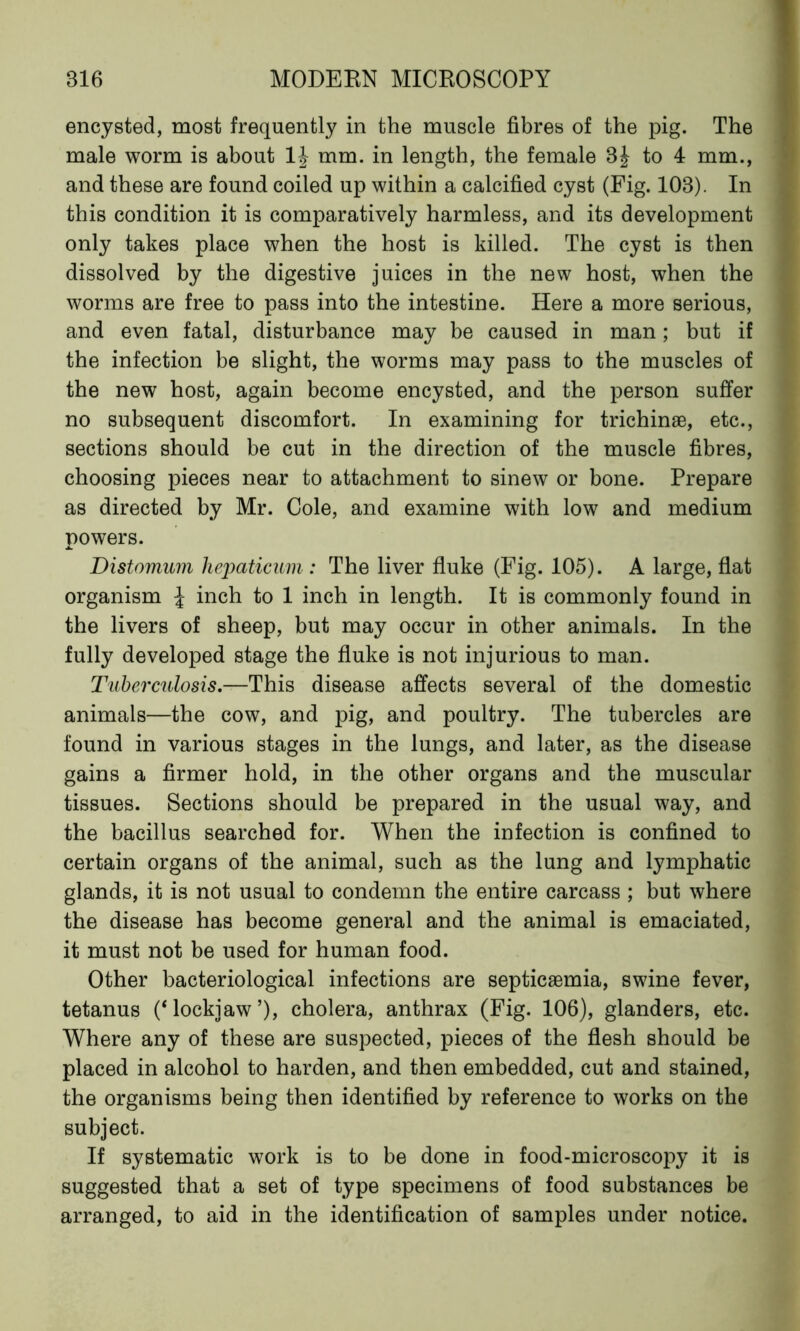 encysted, most frequently in the muscle fibres of the pig. The male worm is about IJ mm. in length, the female to 4 mm., and these are found coiled up within a calcified cyst (Fig. 103). In this condition it is comparatively harmless, and its development only takes place when the host is killed. The cyst is then dissolved by the digestive juices in the new host, when the worms are free to pass into the intestine. Here a more serious, and even fatal, disturbance may be caused in man; but if the infection be slight, the worms may pass to the muscles of the new host, again become encysted, and the person suffer no subsequent discomfort. In examining for trichinae, etc., sections should be cut in the direction of the muscle fibres, choosing pieces near to attachment to sinew or bone. Prepare as directed by Mr. Cole, and examine with low and medium powers. Distomum he2)aticum : The liver fluke (Fig. 105). A large, flat organism \ inch to 1 inch in length. It is commonly found in the livers of sheep, but may occur in other animals. In the fully developed stage the fluke is not injurious to man. Tuberculosis.—This disease affects several of the domestic animals—the cow, and pig, and poultry. The tubercles are found in various stages in the lungs, and later, as the disease gains a firmer hold, in the other organs and the muscular tissues. Sections should be prepared in the usual way, and the bacillus searched for. When the infection is confined to certain organs of the animal, such as the lung and lymphatic glands, it is not usual to condemn the entire carcass ; but where the disease has become general and the animal is emaciated, it must not be used for human food. Other bacteriological infections are septicaemia, swine fever, tetanus (‘lockjaw’), cholera, anthrax (Fig. 106), glanders, etc. Where any of these are suspected, pieces of the flesh should be placed in alcohol to harden, and then embedded, cut and stained, the organisms being then identified by reference to works on the subject. If systematic work is to be done in food-microscoi:>y it is suggested that a set of type specimens of food substances be arranged, to aid in the identification of samples under notice.