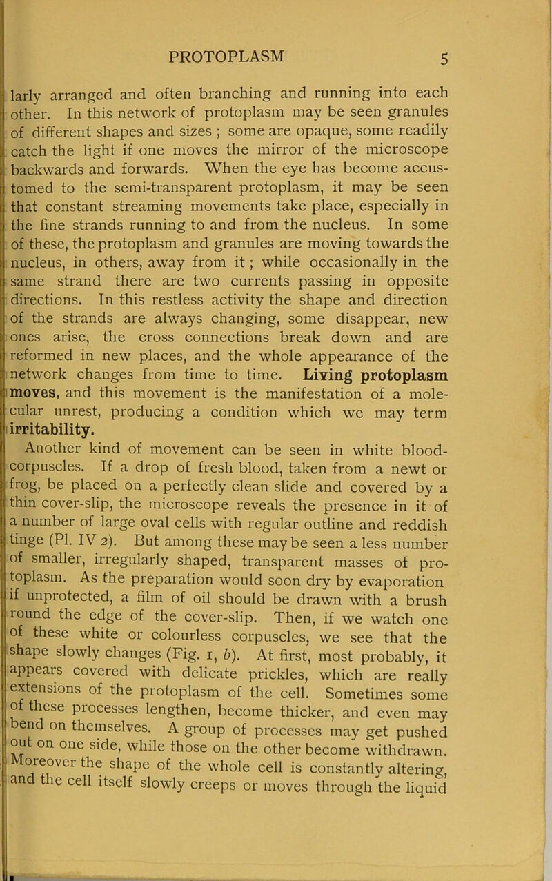 larly arranged and often branching and running into each other. In this network of protoplasm may be seen granules of different shapes and sizes ; some are opaque, some readily catch the light if one moves the mirror of the microscope backwards and forwards. When the eye has become accus- tomed to the semi-transparent protoplasm, it may be seen that constant streaming movements take place, especially in the fine strands running to and from the nucleus. In some of these, the protoplasm and granules are moving towards the nucleus, in others, away from it; while occasionally in the same strand there are two currents passing in opposite directions. In this restless activity the shape and direction of the strands are always changing, some disappear, new ones arise, the cross connections break down and are reformed in new places, and the whole appearance of the network changes from time to time. Living protoplasm moves, and this movement is the manifestation of a mole- cular unrest, producing a condition which we may term irritability. Another kind of movement can be seen in white blood- corpuscles. If a drop of fresh blood, taken from a newt or frog, be placed on a perfectly clean slide and covered by a thin cover-slip, the microscope reveals the presence in it of a number of large oval cells with regular outline and reddish tinge (PI. IV 2). But among these maybe seen a less number of smaller, irregularly shaped, transparent masses of pro- toplasm. As the preparation would soon dry by evaporation if unprotected, a film of oil should be drawn with a brush round the edge of the cover-slip. Then, if we watch one of these white or colourless corpuscles, we see that the shape slowly changes (Fig. 1, b). At first, most probably, it appears covered with delicate prickles, which are really extensions of the protoplasm of the cell. Sometimes some of these processes lengthen, become thicker, and even may end on themselves. A group of processes may get pushed out on one side, while those on the other become withdrawn. oreovei the shape of the whole cell is constantly altering, and the cell itself slowly creeps or moves through the liquid