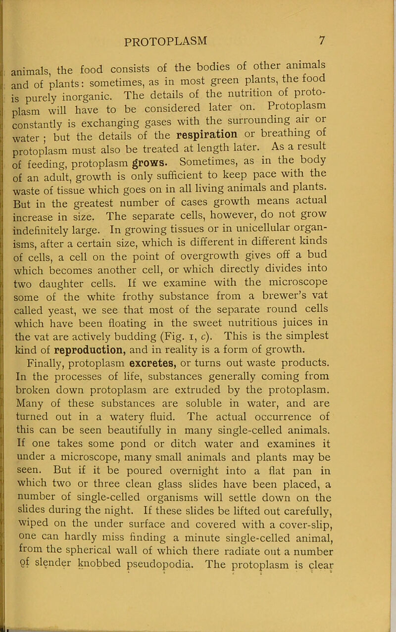 animals, the food consists of the bodies of other animals and of plants: sometimes, as in most green plants, the food is purely inorganic. The details of the nutrition of proto- plasm will have to be considered later on. Protoplasm constantly is exchanging gases with the surrounding air 01 water ; but the details of the respiration or breathing of protoplasm must also be treated at length later. As a result of feeding, protoplasm grows. Sometimes, as in the body of an adult, growth is only sufficient to keep pace with the waste of tissue which goes on in all living animals and plants. But in the greatest number of cases growth means actual increase in size. The separate cells, however, do not grow indefinitely large. In growing tissues or in unicellular organ- isms, after a certain size, which is different in different kinds of cells, a cell on the point of overgrowth gives off a bud which becomes another cell, or which directly divides into two daughter cells. If we examine with the microscope some of the white frothy substance from a brewer’s vat called yeast, we see that most of the separate round cells which have been floating in the sweet nutritious juices in the vat are actively budding (Fig. i, c). This is the simplest kind of reproduction, and in reality is a form of growth. Finally, protoplasm excretes, or turns out waste products. In the processes of life, substances generally coming from broken down protoplasm are extruded by the protoplasm. Many of these substances are soluble in water, and are turned out in a watery fluid. The actual occurrence of this can be seen beautifully in many single-celled animals. If one takes some pond or ditch water and examines it under a microscope, many small animals and plants may be seen. But if it be poured overnight into a flat pan in which two or three clean glass slides have been placed, a number of single-celled organisms will settle down on the slides during the night. If these slides be lifted out carefully, wiped on the under surface and covered with a cover-slip, one can hardly miss finding a minute single-celled animal, from the spherical wall of which there radiate out a number of slender knobbed pseudopodia. The protoplasm is clear U.