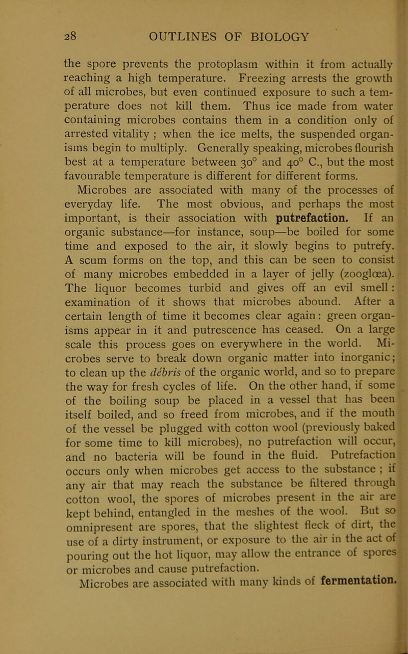 the spore prevents the protoplasm within it from actually reaching a high temperature. Freezing arrests the growth of all microbes, but even continued exposure to such a tem- perature does not kill them. Thus ice made from water containing microbes contains them in a condition only of arrested vitality ; when the ice melts, the suspended organ- isms begin to multiply. Generally speaking, microbes flourish best at a temperature between 30° and 40° C., but the most favourable temperature is different for different forms. Microbes are associated with many of the processes of everyday life. The most obvious, and perhaps the most important, is their association with putrefaction. If an organic substance—for instance, soup—be boiled for some time and exposed to the air, it slowly begins to putrefy. A scum forms on the top, and this can be seen to consist of many microbes embedded in a layer of jelly (zoogloea). The liquor becomes turbid and gives off an evil smell : examination of it shows that microbes abound. After a certain length of time it becomes clear again: green organ- isms appear in it and putrescence has ceased. On a large scale this process goes on everywhere in the world. Mi- crobes serve to break down organic matter into inorganic; to clean up the debris of the organic world, and so to prepare the way for fresh cycles of life. On the other hand, if some of the boiling soup be placed in a vessel that has been itself boiled, and so freed from microbes, and if the mouth of the vessel be plugged with cotton wool (previously baked for some time to kill microbes), no putrefaction will occur, and no bacteria will be found in the fluid. Putrefaction occurs only when microbes get access to the substance ; if any air that may reach the substance be filtered through cotton wool, the spores of microbes present in the air are kept behind, entangled in the meshes of the wool. But so omnipresent are spores, that the slightest fleck of dirt, the use of a dirty instrument, or exposure to the air in the act of pouring out the hot liquor, may allow the entrance of spores or microbes and cause putrefaction. Microbes are associated with many kinds of fermentation. \