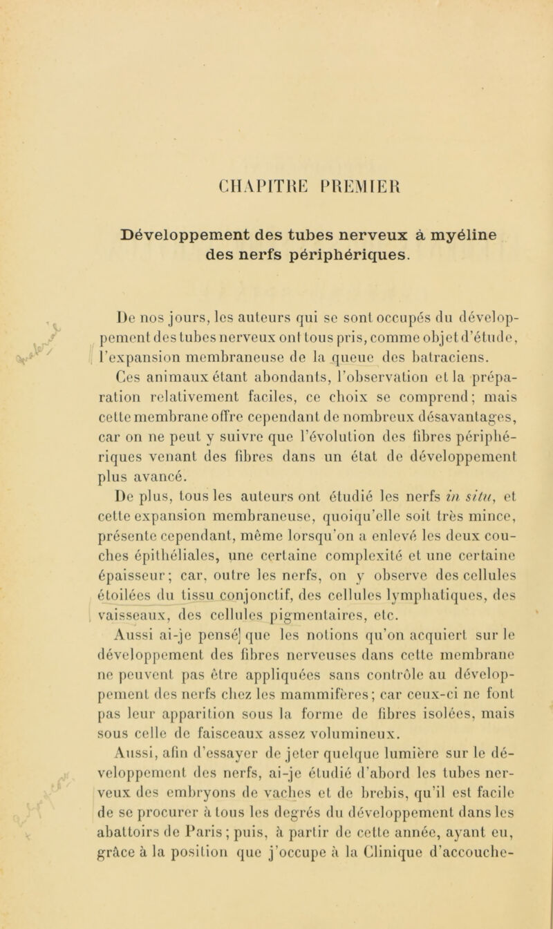 CHAPITRE PREMIER Développement des tubes nerveux à myéline des nerfs périphériques. r V De nos jours, les auteurs qui se sont occupés du dévelop- pement des tubes nerveux oui tous pris, comme objet d’étude, 1 l’expansion membraneuse de la queue des batraciens. Ces animaux étant abondants, l’observation et la prépa- ration relativement faciles, ce choix se comprend; mais cette membrane offre cependant de nombreux désavantages, car on ne peut y suivre que l’évolution des libres périphé- riques venant des fdires dans un état de développement plus avancé. De plus, tous les auteurs ont étudié les nerfs in sitn, et cette expansion membraneuse, quoiqu’elle soit très mince, présente cependant, même lorsqu’on a enlevé les deux cou- ches épithéliales, une certaine complexité et une certaine épaisseur; car, outre les nerfs, on y observe des cellules éJ.oilées du tissu conjonctif, des cellules lymphatiques, des 1 vaisseaux, des cellules pigmentaires, etc. Aussi ai-je pensé] que les notions qu’on acquiert sur le développement des fibres nerveuses dans cette membrane ne peuvent pas être appliquées sans contrôle au dévelop- pement des nerfs chez les mammifères; car ceux-ci ne font pas leur apparition sous la forme de fibres isolées, mais sous celle de faisceaux assez volumineux. Aussi, afin d’essayer de jeter quelque lumière sur le dé- veloppement des nerfs, ai-je étudié d’abord les tubes ner- jveux des embryons de vaches et de l)rebis, qu’il est facile de se procurer à tous les degrés du développement dans les abattoirs de Paris; puis, à partir de cette année, ayant eu, grâce à la position que j’occupe à la Clinique d’accouebe-