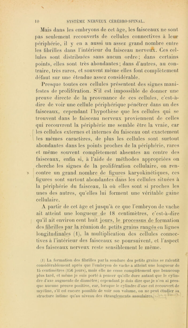 Mais dans les embryons de cel âge, les faisceaux ne sont pas seulement recouverts de cellules connectives à leur périphérie, il y en a aussi un assez grand nombre enlre les librilles dans l’intérieur du faisceau nerveux. Ces cel- lules sont distribuées sans aucun ordre; dans certains points, elles sont très abondantes ; dans d’autres, au con- traire, très rares, et souvent môme elles font complètement défaut sur une étendue assez considérable. Presque toutes ces cellules présentent des signes mani- festes de prolifération. S’il est impossible de donner une preuve directe de la provenance de ces cellules, c’est-à- dire de voir une cellule périphérique pénétrer dans un des faisceaux, cependant l’iiypotbèse que les cellules qui se trouvent dans le faisceau nerveux proviennent de celles qui recouvrent la périphérie me semble être la vraie, car les cellules externes et internes du faisceau ont exactement les mêmes caractères, de plus les cellules sont surtout abondantes dans les points proches de la périphérie, rares et même souvent complètement absentes au centre des faisceaux, enfin si, à l’aide de méthodes appropriées on eberebe les signes de la prolifération cellulaire, on ren- contre un grand nombre de figures karyokinétiques, ces figures sont surtout abondantes dans les cellules situées à la péiâpbérie du faisceau, là où elles sont si proches les unes des autres, qu’elles lui forment une véritable gaine cellulaire. A partir de cet âge et jusqu’à ce que l’embryon de vache ait atteint une longueur de 18 centimètres, c’est-à-dire qu’il ait environ cent huit jours, le processus de formation des fibrilles par la réunion de petits grains rangés en lignes longitudinales (1), la multiplication des cellules connec- tives à l’intérieur des faisceaux se poursuivent, et l’aspect des faisceaux nerveux reste sensiblement le même. (I) La f'ormaliou des fibrilles parla soudure des petits grains se ralentit considérablement ajirès que l’embryon de vache a atteint une longueur de ïh centimètres (l.^)G jours), mais elle no cesse complètement que beaucoup pins tard, et même je suis jiorlé à jienser ([u’elle dure autant que le cylin- dre d’axe angmentc de diamètre; cependant je dois dire cpie je n’en ai pres- que aucune preuve positive, car, lorsipie le cylindre d’axe est recouvert de myéline, s’il est encore jiossible de voir son volume, on ne jieut étudier sa ^ iQ S structure intime qu’au niveau des étrangl^cmeuts annulaires.