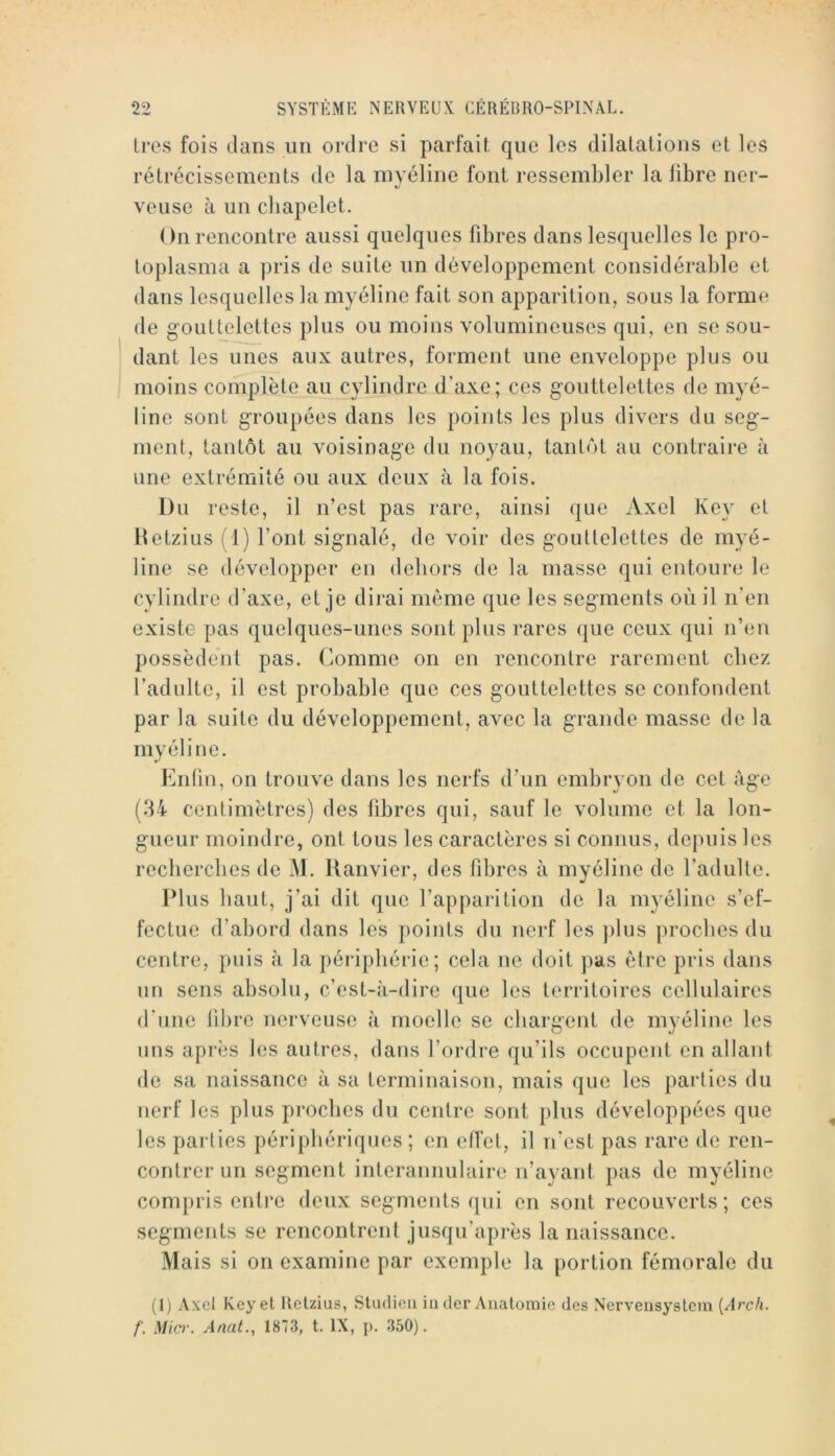 1res fois dans un ordre si parfait que les dilatations et les rétrécissements de la myéline font ressembler la libre ner- veuse à un chapelet. On rencontre aussi quelques fibres dans lesquelles le pro- toplasma a pris de suite un développement considérable et dans lesquelles la myéline fait son apparition, sous la forme de gouttelettes plus ou moins volumineuses qui, en se sou- dant les unes aux autres, forment une enveloppe plus ou moins complète au cylindre d’axe; ces gouttelettes de myé- line sont groupées dans les points les plus divers du seg- ment, tantôt au voisinage du noyau, tantôt au contraire à une extrémité ou aux deux à la fois. Du reste, il n’est pas rare, ainsi que Axel Key cl Hetzius M) l’ont signalé, de voir des gouttelettes de myé- line se développer en dehors de la masse qui entoure le cylindre d’axe, et je dirai môme que les segments où il n’en existe pas quelques-unes sont plus rares que ceux qui n’en possèdent pas. Comme on en rencontre rarement chez l’adulte, il est probable que ces gouttelettes se confondent par la suite du développement, avec la grande masse de la myéline. Enlin, on trouve dans les nerfs d’un embryon de cet Age (34 centimètres) des fibres qui, sauf le volume et la lon- gueur moindre, ont tous les caractères si connus, depuis les recherches de M. Hanvier, des fibres à myéline de l’adulte. Plus haut, j’ai dit que l’apparition de la myéline s’ef- fectue d’abord dans les points du nerf les ])lus proches du centre, puis à la périphérie; cela ne doit pas être pris dans un sens absolu, c’est-à-dire que les territoires cellulaires d'une libre nerveuse à moelle se chargent de myéline les uns après les autres, dans l’ordre qu’ils occupent en allant de sa naissance à sa terminaison, mais que les parties du nerf les plus proches du centre sont plus développées que les parties périphériques; en elTel, il n’est pas rare de ren- contrer un segment interannulaire n’ayant pas de myéline compris enli*e deux segments qui en sont recouverts; ces segments se rencontrent jusqu’après la naissance. Mais si on examine par exemple la portion fémorale du (1) Axel Key et Uclzius, Studicii in der Anatomie des Nerveiisystem {Arch. f. Mic)\ Anat., 1873, t. IX, {>. 350).