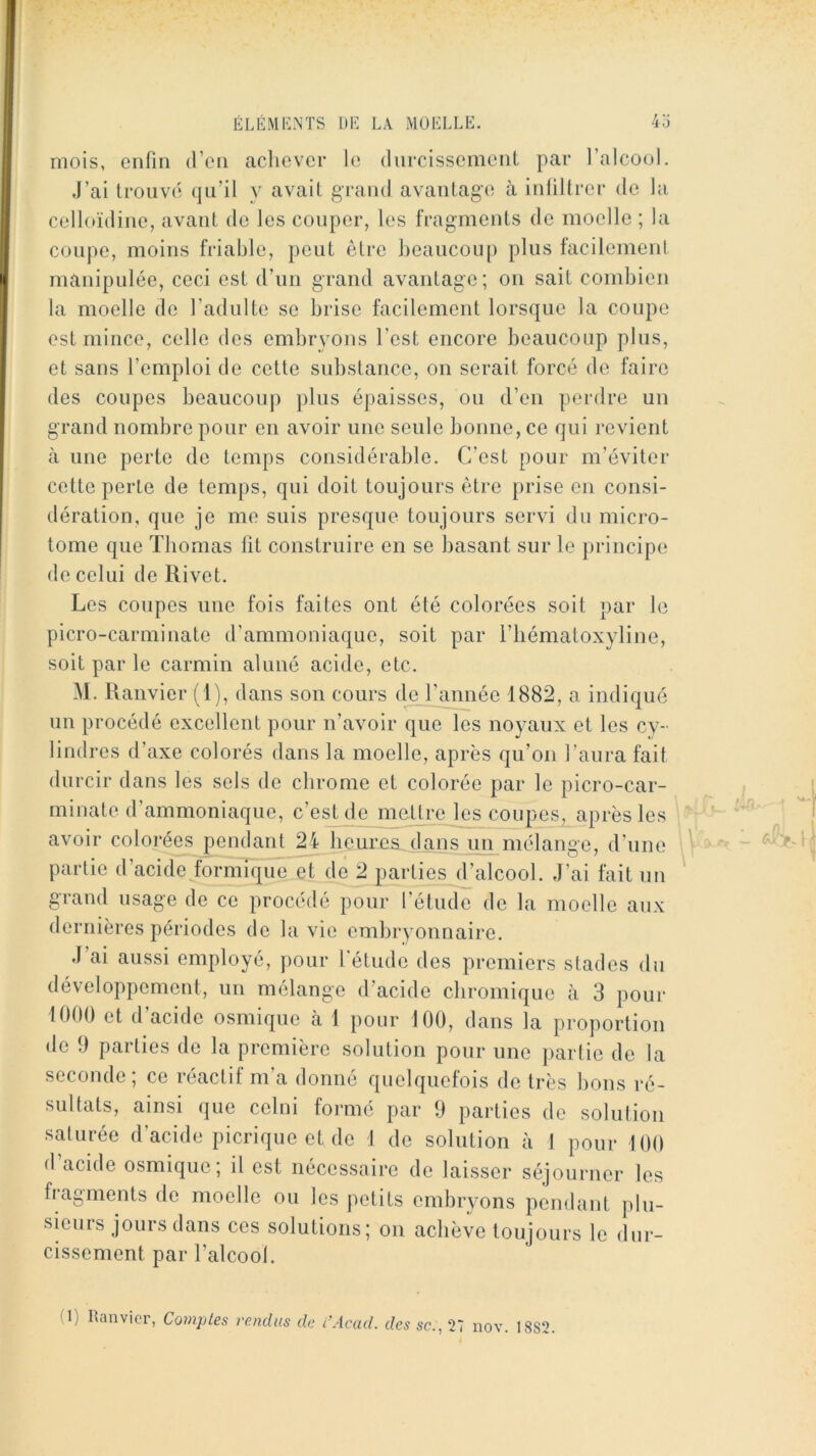 mois, enfin d’on achever le durcissement par l’alcool. J’ai trouvé qu’il y avait grand avantage à infiltrer de la celloïdine, avant de les couper, les fragments de moelle ; la coupe, moins friable, peut être l)eaucoup plus facilement manipulée, ceci est d’un grand avantage; on sait combien la moelle de l’adulte se brise facilement lorsque la coupe est mince, celle des embryons l’est encore beaucoup plus, et sans l’emploi de cette substance, on serait forcé de faire des coupes beaucoup plus épaisses, ou d’en perdre un grand nombre pour en avoir une seule bonne, ce qui revient à une perte de temps considérable. C’est pour m’éviter cette perte de temps, qui doit toujours être prise en consi- dération, que je me suis presque toujours servi du micro- tome que Thomas lit construire en se basant sur le principe de celui de Rivet. Les coupes une fois faites ont été colorées soit par le picro-carminate d’ammoniaque, soit par l’iiématoxyline, soit par le carmin aluné acide, etc. M. Ranvier (1), dans son cours de l’année 1882, a indiqué un procédé excellent pour n’avoir que les noyaux et les cy- lindres d’axe colorés dans la moelle, après qu’on l’aura fait durcir dans les sels de chrome et colorée par le picro-car- minate d’ammoniaque, c’est de mettre les coupes, après les avoir colorées pendant 24 heures dans un mélange, d’une partie d’acide formique et de 2 parties d’alcool. J’ai fait un grand usage de ce procédé pour l’élude de la moelle aux dernières périodes de la vie embryonnaire. J’ai aussi employé, pour l'étude des premiers stades du développement, un mélange d’acide chromique à 3 pour 1000 et d’acide osmique à 1 pour 100, dans la proportion de 9 parties de la première solution pour une parlie de la seconde; ce réactif m’a donné quelquefois de très bons ré- sultats, ainsi que celui formé par 9 parties de solution saturée d’acide picrique et de 1 de solution à 1 pour 100 d’acide osmique; il est nécessaire de laisser séjourner les fragments de moelle ou les petits embryons pendant plu- sieurs jours dans ces solutions; on achève toujours le dur- cissement par l’alcool. (1) Ranvier, Comptes vendus de i’Acad. des sc., 27 nov. 18S2.