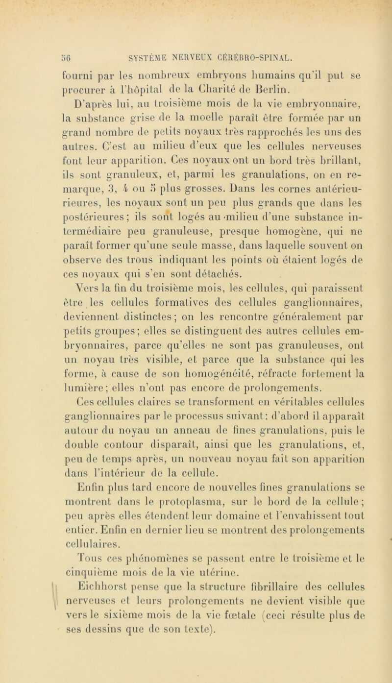 fourni par les nombreux embryons bnmains qu’il put se procurer à riiôpilal de la Charité de Berlin. D’après lui, au troisième mois de la vie embryonnaire, la substance grise de la moelle paraît être formée par un g'rand nombre de petits noyaux très rapprochés les uns des autres. C’est au milieu d’eux que les cellules nerveuses font leur apparition. Ces noyaux ont un bord très brillant, ils sont granuleux, et, parmi les granulations, on en re- marque, 3, 4 ou O plus grosses. Dans les cornes anlérieu- rieures, les noyaux sont iin peu plus grands que dans les postérieures; ils sont logés au-milieu d’une substance in- termédiaire peu granuleuse, presque homogène, qui ne paraît former qu’une seule masse, dans laquelle souvent on observe des trous indiquant les points où étaient logés de ces noyaux qui s’en sont détachés. Vers la lin du troisième mois, les cellules, qui paraissent être les cellules formatives des cellules ganglionnaires, deviennent distinctes ; on les rencontre généralement par petits groupes ; elles se distinguent des autres cellules em- bryonnaires, parce qu’elles ne sont pas granuleuses, ont un noyau très visible, et parce que la substance qui les forme, à cause de son homogénéité, réfracte fortement la lumière; elles n’ont pas encore de prolongements. Ces cellules claires se transforment en véritables cellules ganglionnaires par le processus suivant; d’abord il apparaît autour du noyau un anneau de lines granulations, puis le double contour disparaît, ainsi que les granulations, et, peu de temps après, un nouveau noyau fait son apparition dans rintéricur de la cellule. Enfin plus tard encore de nouvelles fines granulations se montrent dans le protoplasma, sur le bord de la cellule; peu après elles étendent leur domaine et l’envabissent tout entier. Enfin en dernier lieu se montrent des prolongements cellulaires. d'ous ces phénomènes se passent entre le troisième et le cinquième mois de la vie utérine. Eicbliorst pense que la structure fibrillaire des cellules nerveuses et leurs prolongements ne devient visible que vers le sixième mois de la vie fœtale (ceci résulte plus de scs dessins que de son texte).