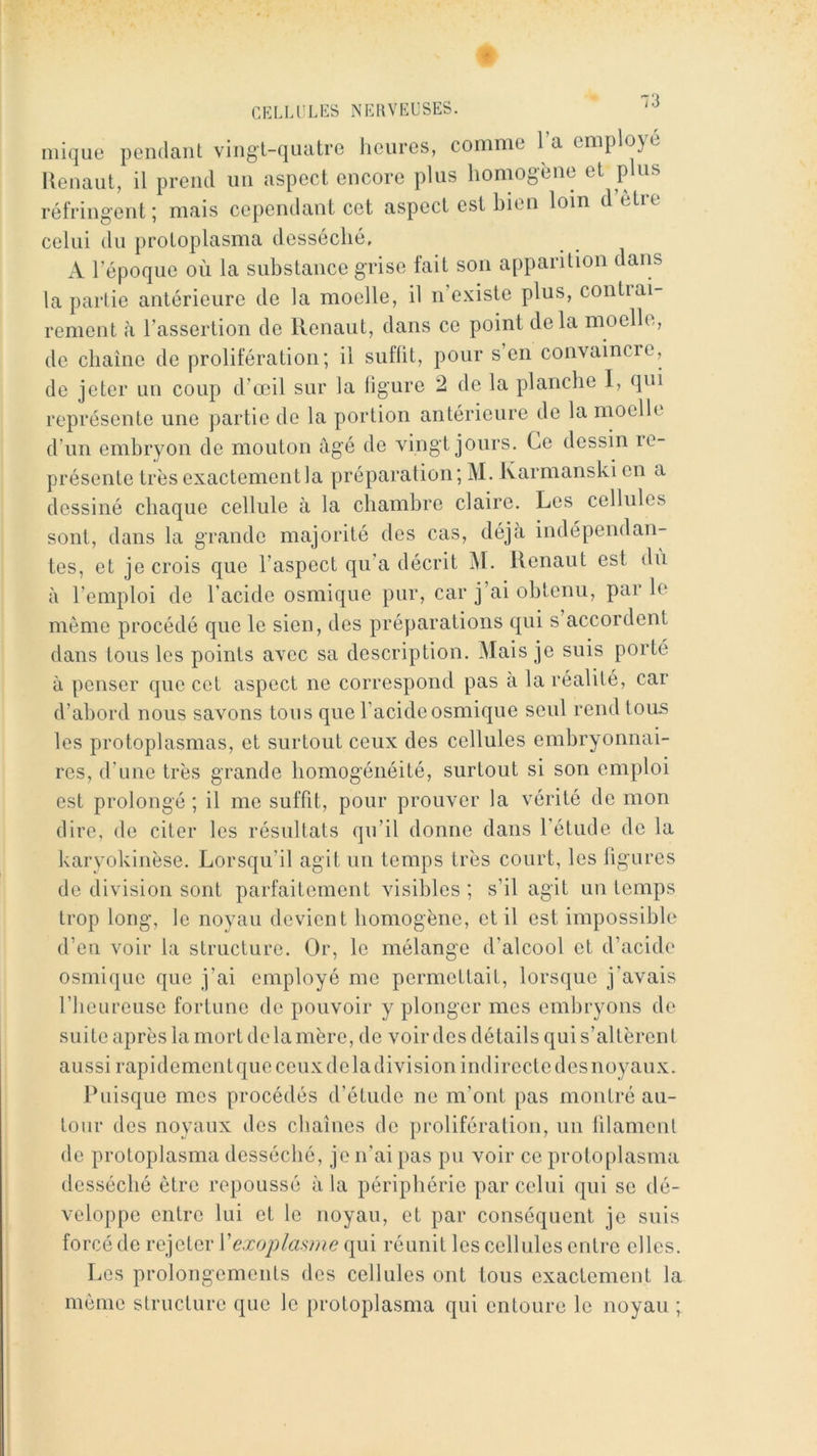 CELLL'LES NERVEUSES. niique pendant vingt-quatre lienres, comme la employé lienaiit, il prend un aspect encore plus homogène et plus réfringent ; mais cependant cet aspect est bien loin d etre celui du protoplasma desséché, A l’époque où la substance grise tait son apparition dans la partie antérieure de la moelle, il n’existe plus, contiai- rement k l’assertion de Renaut, dans ce point delà moelle, de chaîne de prolifération; il suffit, pour s’en convaincie, de jeter un coup d’œil sur la figure 2 de la planche I, qui représente une partie de la portion antérieure de la moelle d’un embryon de mouton figé de vingt jours. Ce dessin le- présente très exactement la préparation; M. Karmanski en a dessiné chaque cellule à la chambre claire. Les cellules sont, dans la grande majorité des cas, déjà indépendan- tes, et je crois que l’aspect qu’a décrit M. Renaut est du à l’emploi de l’acide osmique pur, car j’ai obtenu, par le même procédé que le sien, des préparations qui s accordent dans tous les points avec sa description. Mais je suis porté à penser que cet aspect ne correspond pas à la réalité, car d’abord nous savons tous que l’acide osmique seul rend tous les protoplasmas, et surtout ceux des cellules embryonnai- res, d’une très grande homogénéité, surtout si son emploi est prolongé ; il me suffit, pour prouver la vérité de mon dire, de citer les résultats qu’il donne dans l’étude de la karyokinèse. Lorsqu’il agit un temps très court, les figures de division sont parfaitement visibles ; s’il agit un temps trop long, le noyau devient homogène, et il est impossible d’en voir la structure. Or, le mélange d’alcool et d’acide osmique que j’ai employé me permettait, lorsque j’avais riieiireuse fortune de pouvoir y plonger mes embryons de suite après la mort de la mère, de voir des détails qui s’altèrent aussi rapidementqueceuxdeladivision indirecte desnoyaux. Puisque mes procédés d’étude ne m’ont pas montré au- tour des noyaux des chaînes de prolifération, un filament de protoplasma desséché, je n’ai pas pu voir ce protoplasma desséché être repoussé à la périphérie par celui qui se dé- veloppe entre lui et le noyau, et par conséquent je suis forcé de rejeter Vexopiasme qui réunit les cellules entre elles. lœs prolongements des cellules ont tous exactement la même structure que le protoplasma qui entoure le noyau ;