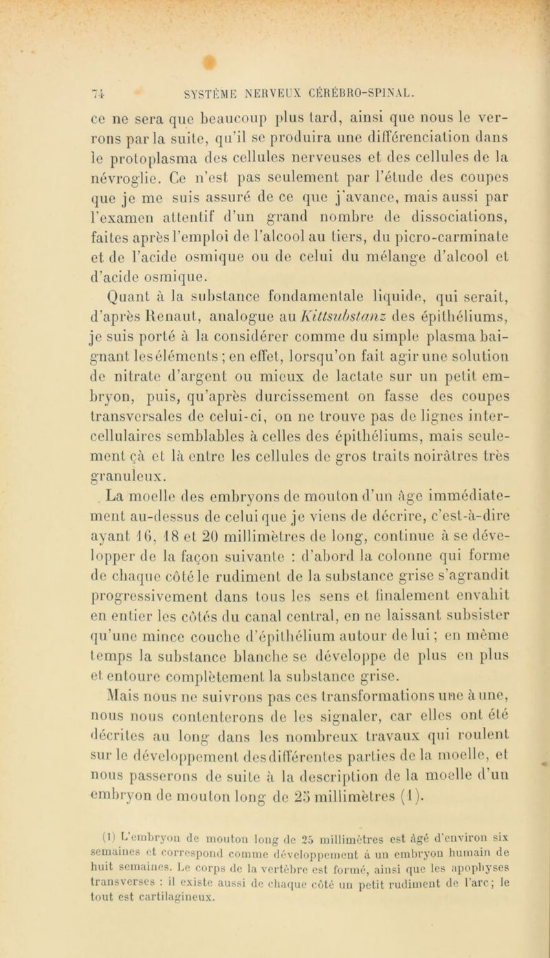 ce ne sera que beaucoup plus lard, ainsi que nous le ver- rons parla suite, qu’il se produira une dilTérencialion dans le proloplasma des cellules nerveuses et des cellules de la névroglie. Ce n’esi pas seulement par l’élude des coupes que je me suis assuré de ce que j'avance, mais aussi par l’examen attentif d’un grand nombre de dissociations, faites après l’emploi de l’alcool au tiers, du picro-carminate et de l’acide osmique ou do celui du mélange d’alcool et d’acide osmique. Quant à la substance fondamentale liquide, qui serait, d’après llenaut, analogue ii\i Kittsiihstanz des épithéliums, je suis porté à la considérer comme du simple plasma bai- gnant leséléments ; en effet, lorsqu’on fait agir une solution de nitrate d’argent ou mieux do lactate sur un petit em- bryon, puis, qu’après durcissement on fasse dos coupes transversales de celui-ci, on ne trouve pas do lignes inter- cellulaires semblables à celles des épithéliums, mais seule- ment çà et là entre les cellules de gros traits noirâtres très granuleux. La moelle des embryons de mouton d’un Age immédiate- ment au-dessus de celui que je viens de décrire, c’est-à-dire ayant ib, 18 et 20 millimètres de long, continue à se déve- lopper de la façon suivante : d’abord la colonne qui forme de chaque ccMéle rudiment de la substance grise s’agrandit progressivement dans tous les sens et iinalement envahit en entier les cotés du canal central, en ne laissant subsister qu’une mince couche d’épilbélium autour de lui; en même temps la substance blanche se dévelojipo do plus en plus et entoure complètement la substance grise. Mais nous ne suivrons pas ces (ransformations une à une, nous nous contenterons de les signaler, car elles ont été décrites au long dans les nombreux travaux qui roulent sur le développement des différentes parties de la moelle, et nous passerons de suite à la descrijition de la moelle d’un embryon de mouton long de 25 millimètres (1). (I) L’ernhryou de inoiiton long de 25 millimètres est âgé d’environ six semaines et correspond comme développement à un embryon humain de huit semaines. Le corps de la vertèbre est formé, ainsi que les apophyses transverses : il existe aussi de cha([ue côté un petit rudiment de l’arc; le tout est cartilagineux.