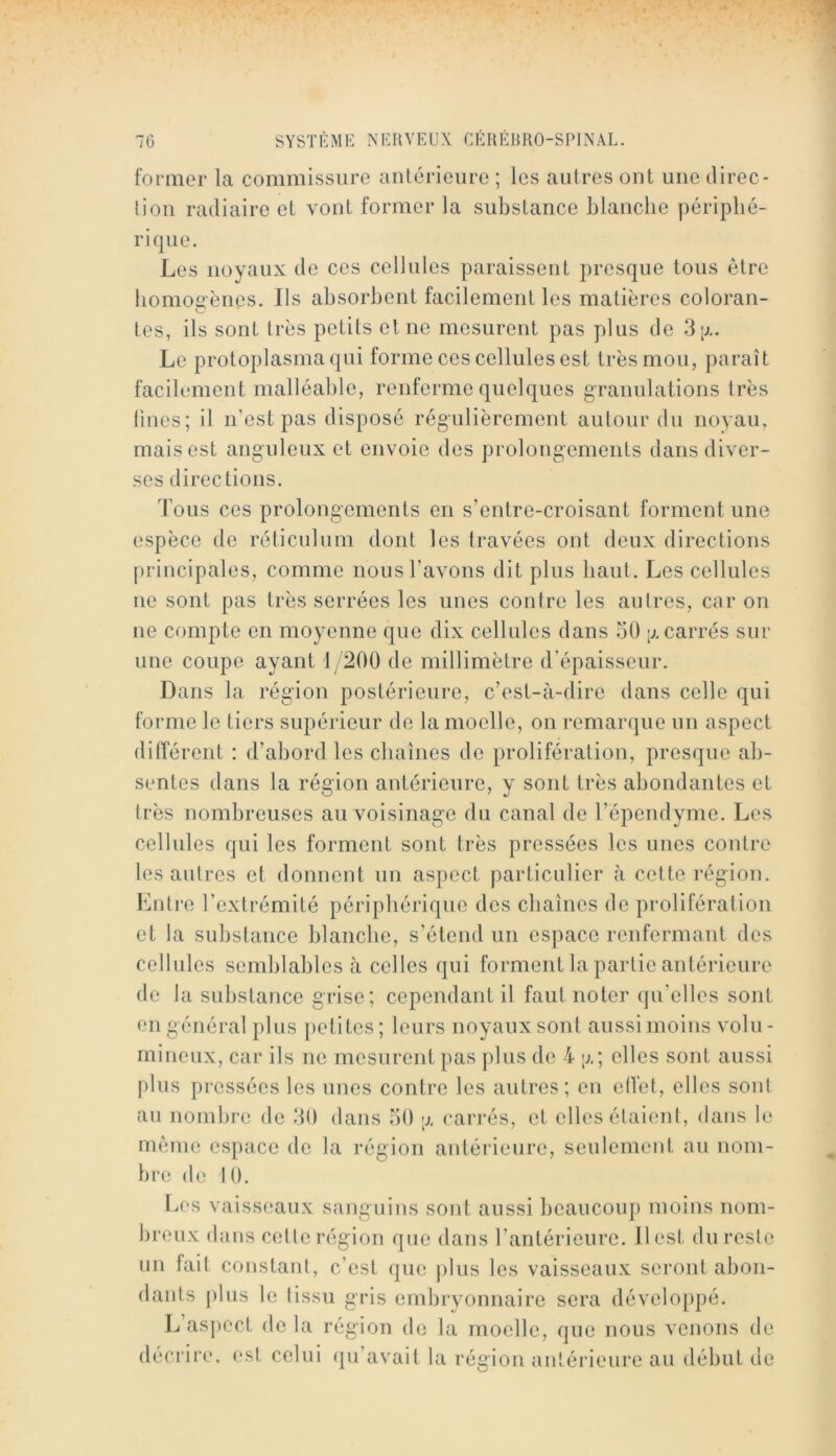 former la commissure antérieure ; les autres ont une direc- tion radiaire et vont former la substance blanche périphé- rique. Les noyaux de ces cellules paraissent presque tous être homoeèiies. Ils absorbent facilement les matières coloran- C tes, ils sont très petits et ne mesurent pas plus de 3;;,. Le protoplasma qui forme ces cellules est très mou, paraît facib-ment malléal)le, renferme quelques granulations très Unes; il n’est pas disposé régulièrement autour du noyau, mais est anguleux et envoie des prolongements dans diver- ses directions. Tous ces prolongements en s’entre-croisant forment une espèce de réliculum dont les travées ont deux directions principales, comme nous l’avons dit plus haut. Les cellules ne sont pas très serrées les unes contre les autres, car on ne compte en moyenne que dix cellules dans 50 carrés sur une coupe ayant 1/200 de millimètre d’épaisseur. Dans la région postérieure, c’est-à-dire dans celle qui forme le tiers supérieur de la moelle, on remarque un aspect différent : d’abord les cbaines de prolifération, presque ab- sentes dans la région antérieure, y sont très abondantes et très nombreuses au voisinage du canal de l’épendyme. Les cellules qui les forment sont très pressées les unes contre les autres et donnent un aspect particulier à cette région. Lntre l’extrémité périphérique des chaînes de prolifération et la substance blanclie, s’étend un espace renfermant des cellules semblables à celles qui forment la partie antérieure de la substance grise; cependant il faut noter (pi’elles sont en général plus petites; leurs noyaux sont aussi moins volu- mineux, car ils ne mesurent pas plus do 4 ;x; elles sont aussi plus pressées les unes contre les autres; en elVet, elles son! au nombre de 30 dans 50 carrés, et elles élaioni, dans le mémo espace de la région antérieure, seulement au nom- bre do 10. Les vaisseaux sanguins sont aussi beaucoup moins nom- breux dans cette région que dans l’antérieure. 11 est du reste nu fait constanl, c’est que plus les vaisseaux seront abon- dants plus le lissu gris embryonnaire sera développé. L’aspect de la région do la moelle, que nous venons de décrire, est celui (ju’avait la région antérieure au début de