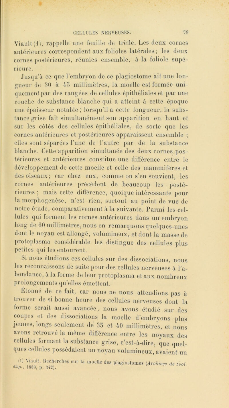 ViauU(lj, rappelle une feuille de Irèlle. Les deux cornes aulérieures correspondent aux folioles latérales; les deux cornes postérieures, réunies ensemble, à la foliole supé- rieure. Jusqu’à ce que rembryon de ce plagiostome ait une lon- gueur de 30 à 43 millimètres, la moelle est formée uni- quement par des rangées de cellules épithéliales et par une couche de substance blanche qui a atteint à cette époque une épaisseur notable; lorsqu’il a cette longueur, la subs- tance grise fait simultanément son apparition en haut et sur les cotés des cellules épithéliales, de sorte que les cornes antérieures et postérieures apparaissent ensemble ; elles sont séparées l’une de l’autre par de la substance blanche. Cette apparition simultanée des deux cornes pos- térieures et antérieures constitue une différence entre le développement de cette moelle et celle des mammifères et des oiseaux; car chez eux, comme on s’en souvient, les cornes antérieures précèdent de beaucoup les posté- rieures ; mais cette différence, quoique intéressante pour la morpbogencse, n’est rien, surtout au point de vue de notre étude, comparativement à la suivante. Parmi les cel- lules qui forment les cornes antérieures dans un embryon long de GO millimètres, nous en remarquons quelques-unes dont le noyau est allongé, volumineux, et dont la masse de protoplasma considérable les distingue des cellules plus petites qui les entourent. Si nous étudions ces cellules sur des dissociations, nous les reconnaissons de suite pour des cellules nerveuses à l’a- bondance, à la forme de leur protoplasma et aux nombreux prolongements qu’elles émettent. Ltonné de ce fait, car nous ne nous attendions pas à trouver de si bonne heure des cellules nerveuses dont la forme serait aussi avancée, nous avons étudié sur des coupes et des dissociations la moelle d’embryons plus jeunes, longs seulement de 35 et 40 millimètres, et nous avons retrouvé la même différence entre les noyaux des cellules formant la substance grise, c’est-à-dire, que quel- ques cellules possédaient un noyau volumineux, avaient un il) ^iault, Recherches sur la moelle des plagiostomes (Archives de ~ool e-r/J., 1883, p. 342).