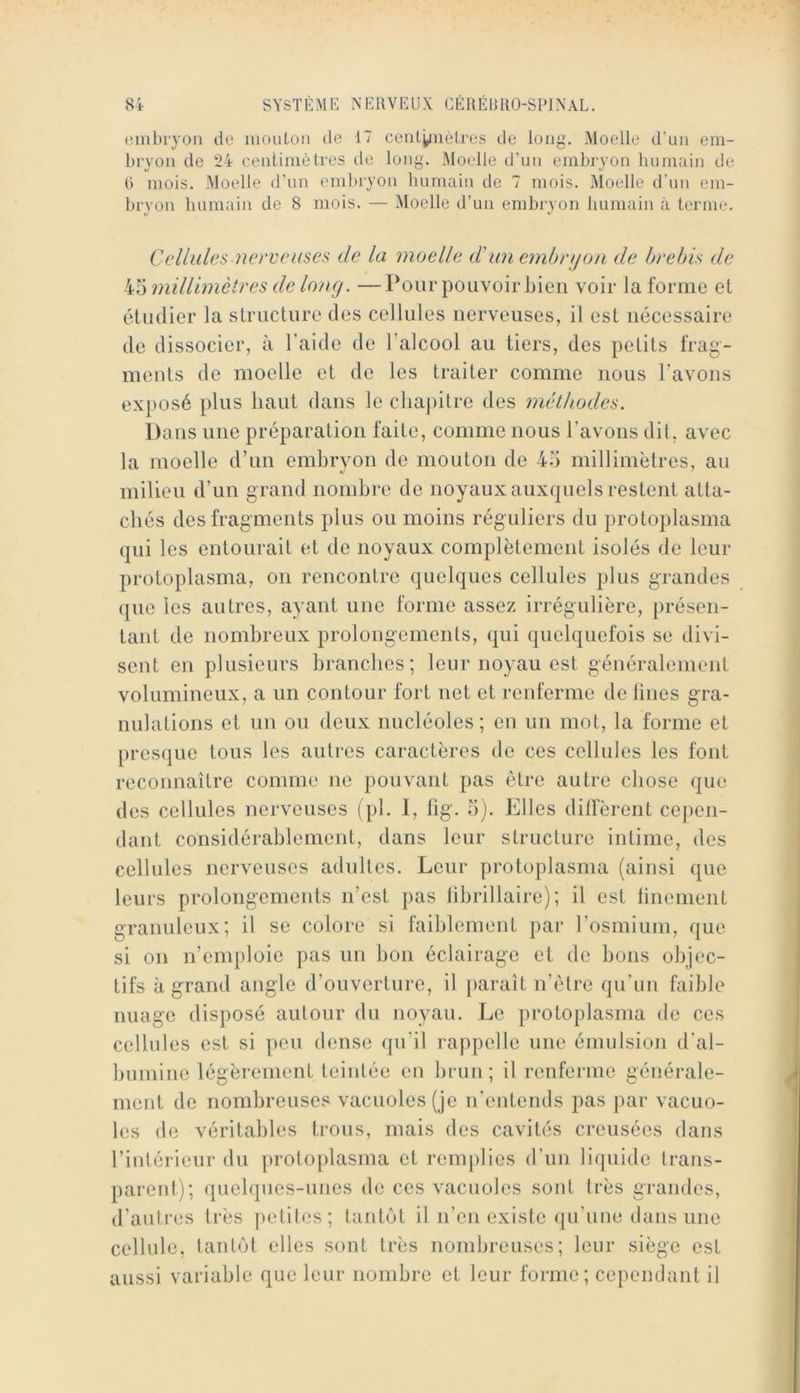 embryon de moulon de 17 centyiièlres de long. Moelle d’un em- bryon de 24 centimètres de long. Moelle tPmi embryon humain de 0 mois. Moelle d’un embryon humain de 7 mois. Moelle d’un em- bryon Immain de 8 mois. — Moelle d’un embryon humain à terme. Cclkiles nerveuses de la moelle d'un embnjon de brebis de millimètres de long. —Pour pouvoir bien voir la forme et étudier la structure des cellules nerveuses, il est nécessaire de dissocier, à l’aide de l’alcool au tiers, des petits frag- ments de moelle et de les traiter comme nous l’avons exposé plus haut dans le cliajiitre des méthodes. Dans une préparation faite, comme nous l’avons dit, avec la moelle d’un embryon de mouton de 45 millimètres, au milieu d’un grand nombre de noyaux auxquels restent atta- chés des fragments plus ou moins réguliers du protoplasma qui les entourait et de noyaux complètement isolés de leur protoplasma, on rencontre quelques cellules plus grandes que les autres, ayant une forme assez irrégulière, présen- tant de nombreux prolongements, qui quelquefois se divi- sent en plusieurs branches; leur noyau est généralement volumineux, a un contour fort uet et renferme de lines gra- nulations et un ou deux nucléoles; eu un mot, la forme et [)res(]ue tous les autres caractères de ces cellules les font reconnaître comme ne pouvant pas être autre chose que des cellules nerveuses (pi. 1, lig. 5). Elles dilfèrent cejien- dant considérablement, dans leur structure intime, des cellules nerveuses adultes. Leur protoplasma (ainsi que leurs prolongements n’est pas iibrillaire) ; il est linenient granuleux; il se colore si faiblement par l’osmium, que si on n’emploie pas un bon éclairage et de bons objec- tifs à grand angle d’ouverture, il paraît n’ètre qu’un faible nuage disposé autour du noyau. Le protoplasma de ces cellules est si peu dense ([u’il rappelle une émulsion d'al- bumine légèrement teintée en brun ; il renferme générale- ment de nombreuses vacuoles (je n’entends pas ])ar vacuo- les de véritables trous, mais des cavités creusées dans l’inlérieur du protoplasma et remplies d’un liquide trans- parenl); quelques-unes de ces vacuoles sont Irès grandes, d’autres très petites; tantôt il n’en existe qu’uue dans une cellule, tantôt elles sont très nombreuses; leur siège est aussi variable que leur nombre et leur forme; cependant il