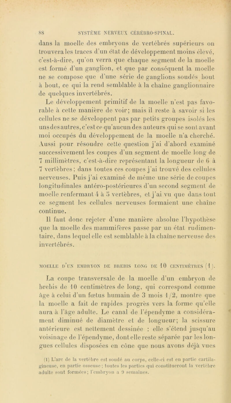 dans la moelle des ernheyons de vertébrés supérieurs ou trouvera les traces d'un élat de développement moins élevé, c’est-à-dire, qu’on verra que chaque segment de la moelle est formé d’un ganglion, et que par conséquent la moelle ne se compose (jue d’une série de ganglions soudés bout à bout, ce qui la rend semblable à la chaîne ganglionnaire de quelques invertébrés. Le développement primitif de la moelle n'est pas favo- rable à cette manière de voir; mais il reste à savoir si les cellules ne se dévelo[)pent pas par petits groupes isolés les unsdesautres, c’est ce qu’aucun des auteurs qui se sont avant moi occupés du développement de la moelle n’a cberclié. Aussi ])our résoudre cette question j’ai d’abord examiné successivement les coupes d’un segment de moelle long de 7 millimètres, c’est-à-dire représentant la longueur de b à 7 vertèbres; dans toutes ces coupes j'ai trouvé des cellules nerveuses. Puis j’ai examiné de meme une série de coupes longitudinales antéro-postérieures d’un second segment de moelle renfermant 4 à b vertèbres, et j’ai vu que dans tout ce segment les cellules nerveuses formaient une chaîne continue. 11 faut donc rejeter d’une manière absolue l’hypolbèse que la moelle des mammifères passe par un état riulimen- taire, dans lequel elle est semblable à la chaîne nerveuse des invertébrés. .MOELLE d’l'N E3IRUY0N DE BREIUS LONO DE 10 CENTniÈTHES ( 1 j. La coupe transversale de la moelle d'un embryon de brebis de 10 centimètres de long, qui correspond comme âge à celui d’un fœtus bumain de 3 mois 1/2, montre que la moelle a fait de rapides progrès vers la forme qu'elle aura à l’age adulte. Le canal de l'épendyme a considéra- ment diminué de diamètre et de longueur; la scissure antérieure est nettement dessinée : elle s’étend jusqu’au voisinage de l’épendyme, dont elle reste séparée par les lon- gues cellules disposées en cône que nous avons déjà vues fl) L’arc (le la vertèbre est sondé an coi’ps, celle-ci est en partie cartila- gineuse, en })artie osseuse; foutes les parties qui constitueront la vertèbre adulte sont formées; rembryon a !) semaines.