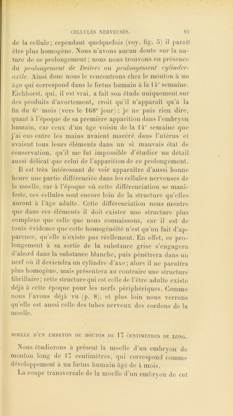 de la cellule; cepeiulaul quelquefois (voy. iig’. d) il paraîl être plus homogène. Nous ii’avoiis aucuu doute sui* la na- ture de ce prolougenient ; nous nous trouvons en présence du prolongement de Deilers ou prolongement cglindre- axile. Ainsi donc nous le rencontrons chez le moulon à un Age qui correspond dans le fœtus humain à la 14 semaine. J^clihorst, qui, il est vrai, a fait son étude uniquement sui- des produits d’avortement, croit qu’il n’apparaît qu’à la lin du G mois (vers le 168 jour) ; je ne puis rien dire, quant à l’époque de sa première apparition dans l’embryon humain, car ceux d’un âge voisin do la 14 semaine que j’ai eus entre les mains avaient macéré dans Tutérus et avaient tous leurs éléments dans un si mauvais état de conservation, qu’il me fut impossible d’étudier un détail aussi délicat que celui de l’apparition de ce prolongement. Il est très intéressant de voir apparaître d’aussi bonne heure une partie différenciée dans les cellules nerveuses de la moelle, car à l’époque où cette différenciation se mani- feste, ces cellules sont encore loin de la structure qu’elles auront à l’age adulte. Cette différenciation nous montre que dans ces éléments il doit exister une structure plus complexe que celle que nous connaissons, car il est de toute évidence que cette homogénéité n’est qu’iin fait d’ap- parence, qu’elle n’existe pas réellement. En effet, ce pro- longement à sa sortie de la substance grise s’engagera d’abord dans la substance blanche, puis pénétrera dans un nerf où il deviendra un cylindre d'axe; alors il no paraîtra l)lus homogène, mais présentera au contraire une structure fibrillaire; cette structure qui est celle de l’ètre adulte existe déjà a cette époque pour les nerfs périphériques. Comme nous l’avons déjà vu (p. 8), et plus loin nous verrons qu’elle est aussi celle des tubes nerveux des cordons do la moelle. :moelle d’un embryon de mouton de 17 centimètres de long. Nous étudierons à présent la moelle d’un embryon de mouton long de 17 centimètres, qui correspond comme développement à un fœtus humain âgé de 4 mois. La coupe transversale de la moelle d’un embryon de cet