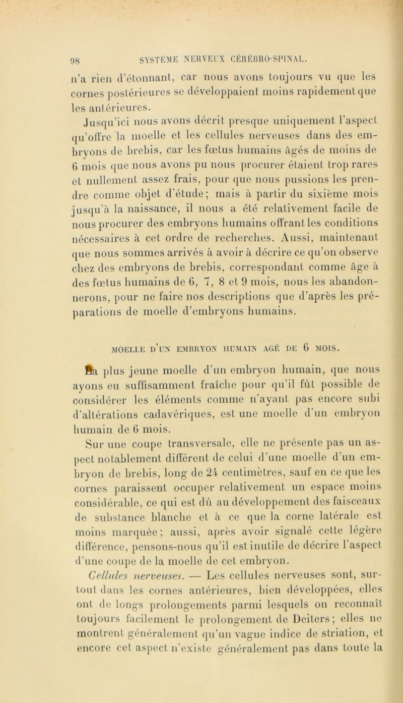 n’a rien irélonnant, car nous avons toujours vu que les cornes postérieures se développaient moins rapidement que les antérieures. Jusqu’ici nous avons décrit presque uniquement l’aspect qu’offre la moelle et les cellules nerveuses dans des em- bryons de brebis, car les fœtus humai us âgés de moins de 6 mois que nous avons pu nous procurer étaient trop rares et nullement assez frais, pour que nous pussions les pren- dre comme objet d’étude; mais â partir du sixième mois jusqu’il la naissance, il nous a été relativement facile de nous procurer des embryons humains offrant les conditions nécessaires à cet ordre de recherches. Aussi, maintenant que nous sommes arrivés à avoir à décrire ce qu’on observe chez des embryons de brebis, correspondant comme âge à des fœtus humains de 6, 7, 8 et 9 mois, nous les abandon- nerons, pour ne faire nos descriptions que d’après les pré- parations de moelle d’embryons humains. MOELLE d’un EMBRYON HUMAIN AGÉ DE 6 AIOIS. fia plus jeune moelle d’un embryon humain, que nous ayons eu suffisamment fraîche pour qu’il fût possible de considérer les éléments comme n’ayant pas encore subi d’altérations cadavériques, est une moelle d’un embryon humain de 6 mois. Sur une coupe transversale, elle ne présente pas un as- pect notablement différent de celui d’une moelle d’un em- bryon de brebis, long de 24 centimètres, sauf en ce que les cornes paraissent occuper relativement un espace moins considérable, ce qui est dû au développement des faisceaux de substance blanche et â ce que la corne latérale est moins marquée; aussi, ajirès avoir signalé cette légère différence, pensons-nous qu’il est inutile de décrire l’aspect d’une coupe de la moelle de cet embryon. Cellules nerveuses. — Les cellules nerveuses sont, sur- tout dans les cornes antérieures, bien développées, elles ont de longs prolongements jiarmi lesquels on reconnaît toujours facilement le prolongement de Deiters ; elles ne montrent généralement qu’un vague indice de striation, et encore cet aspect n’existe généralement pas dans toute la