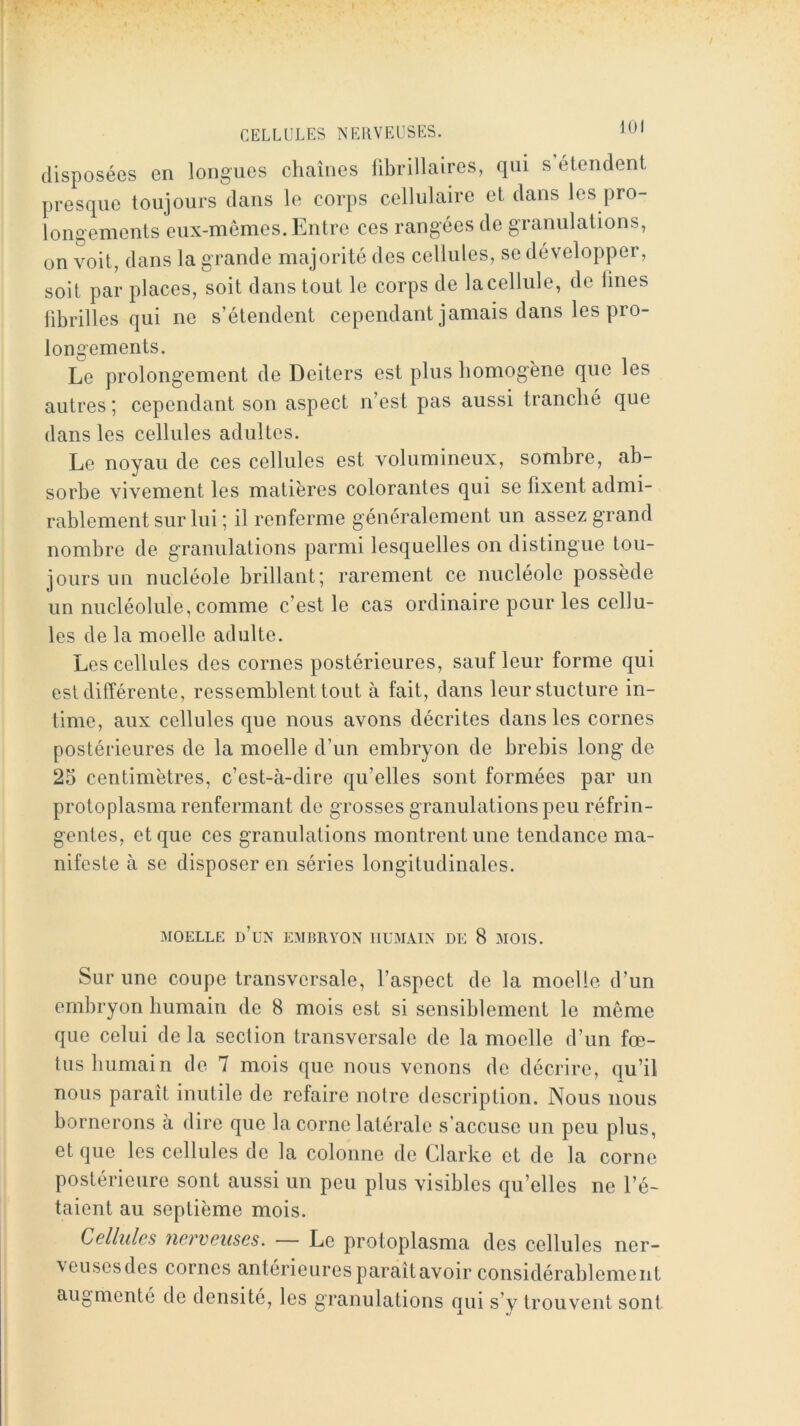 disposées en longues chaînes fibrillaires, qui s étendent presque toujours dans le corps cellulaire et dans les pro- longements eux-mêmes. Entre ces rangées de granulations, on voit, dans la grande majorité des cellules, se développer, soit par places, soit dans tout le corps de lacellnle, de hues librilles qui ne s’étendent cependant jamais dans les pro- longements. Le prolongement de Deiters est plus homogène que les autres ; cependant son aspect n’est pas aussi tranché que dans les cellules adultes. Le noyau de ces cellules est volumineux, sombre, ab- sorbe vivement les matières colorantes qui se fixent admi- rablement sur lui ; il renferme généralement un assez grand nombre de granulations parmi lesquelles on distingue tou- jours un nucléole brillant; rarement ce nucléole possède un nucléolule, comme c’est le cas ordinaire pour les cellu- les de la moelle adulte. Les cellules des cornes postérieures, sauf leur forme qui est différente, ressemblent tout à fait, dans leur stucture in- time, aux cellules que nous avons décrites dans les cornes postérieures de la moelle d’un embryon de brebis long de 25 centimètres, c’est-à-dire qu’elles sont formées par un protoplasma renfermant de grosses granulations peu réfrin- gentes, et que ces granulations montrent une tendance ma- nifeste à se disposer en séries longitudinales. MOELLE U’UX EMBRYON HU.MAIN DE 8 MOIS. Sur une coupe transversale, l’aspect de la moelle d’un embryon bumain de 8 mois est si sensiblement le même que celui de la section transversale de la moelle d’un fœ- tus bumain de 7 mois que nous venons de décrire, qu’il nous paraît inutile de refaire notre description. Nous nous bornerons à dire que la corne latérale s’accuse un peu plus, et que les cellules de la colonne de Clarke et de la corne postérieure sont aussi un peu plus visibles qu’elles ne l’é- taient au septième mois. Cellules nerveuses. — Le protoplasma des cellules ner- \eusesdes cornes antérieuresparaîtavoir considérablement augmenté de densité, les granulations qui s’y trouvent sont